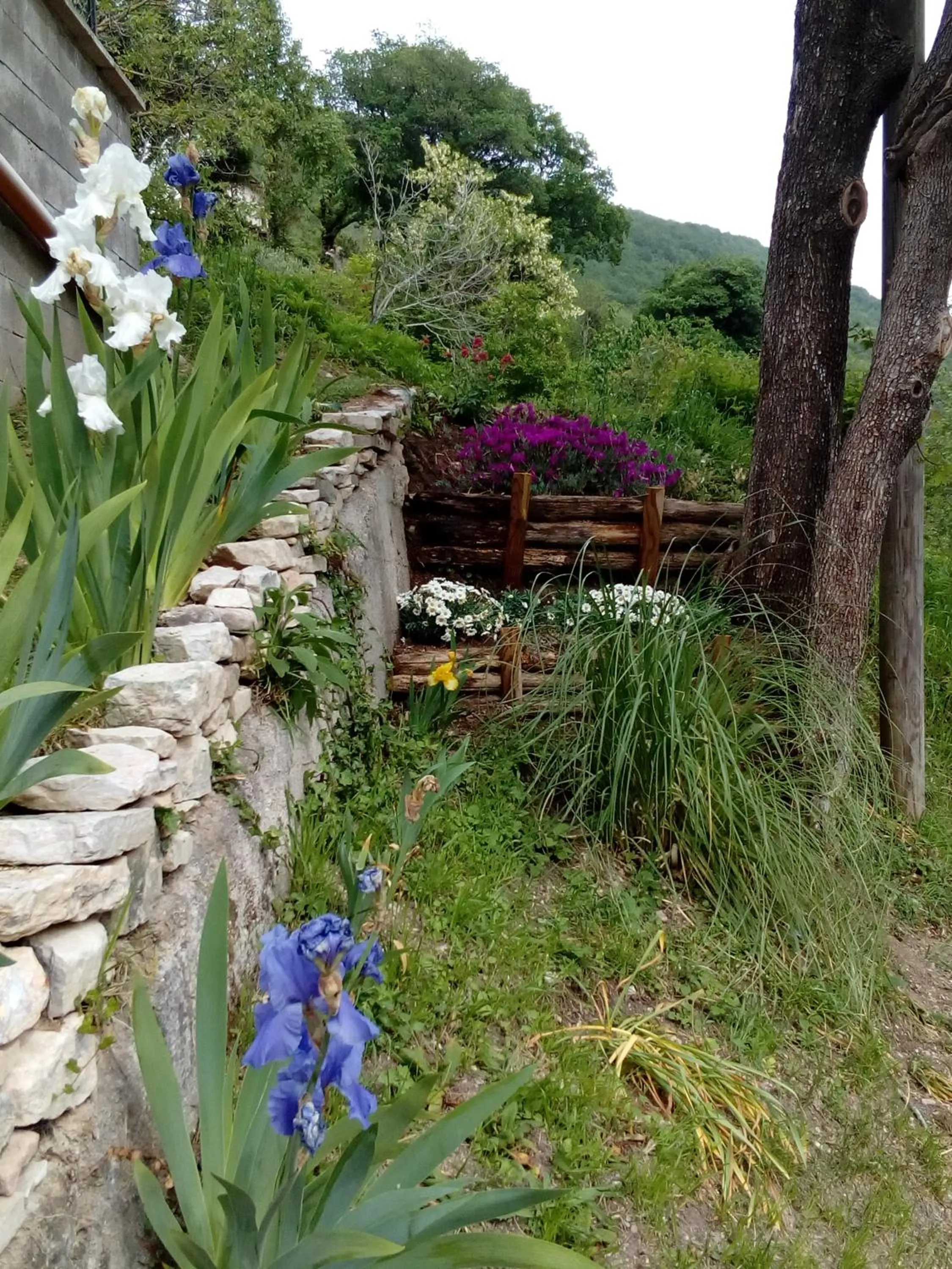 Bed & Breakfast SENTIERO 54