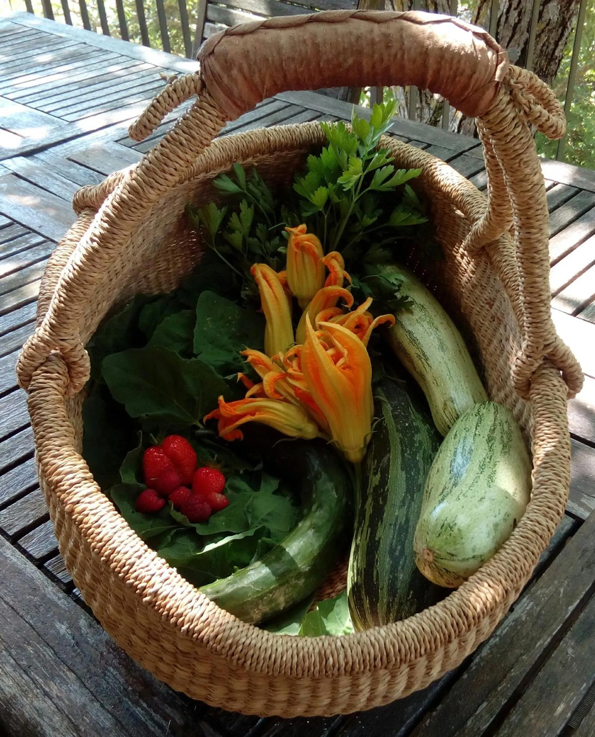 Bed & Breakfast SENTIERO 54