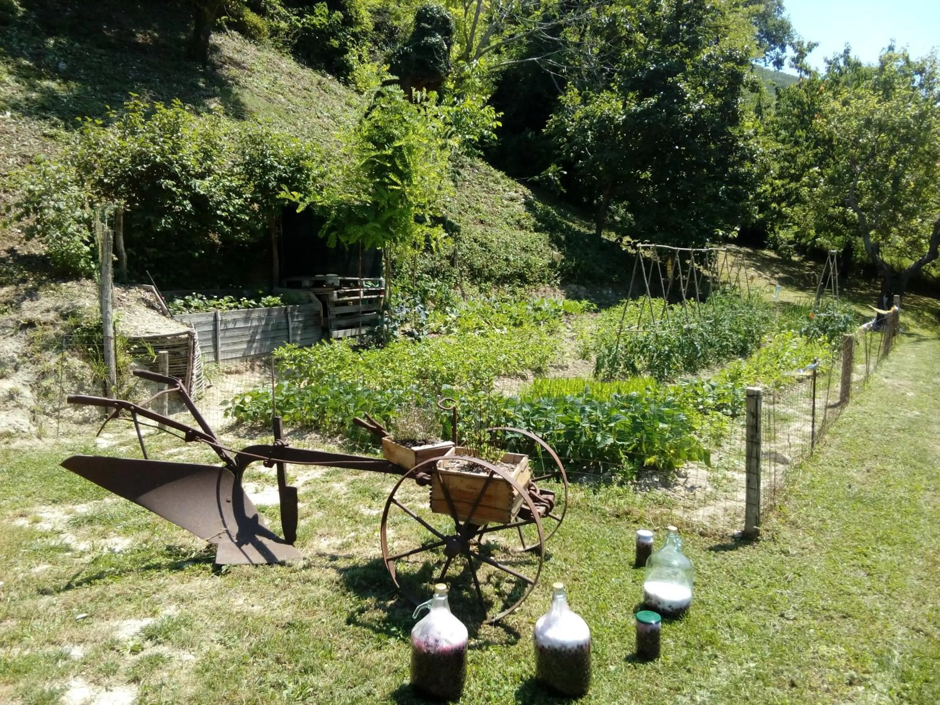 Bed & Breakfast SENTIERO 54