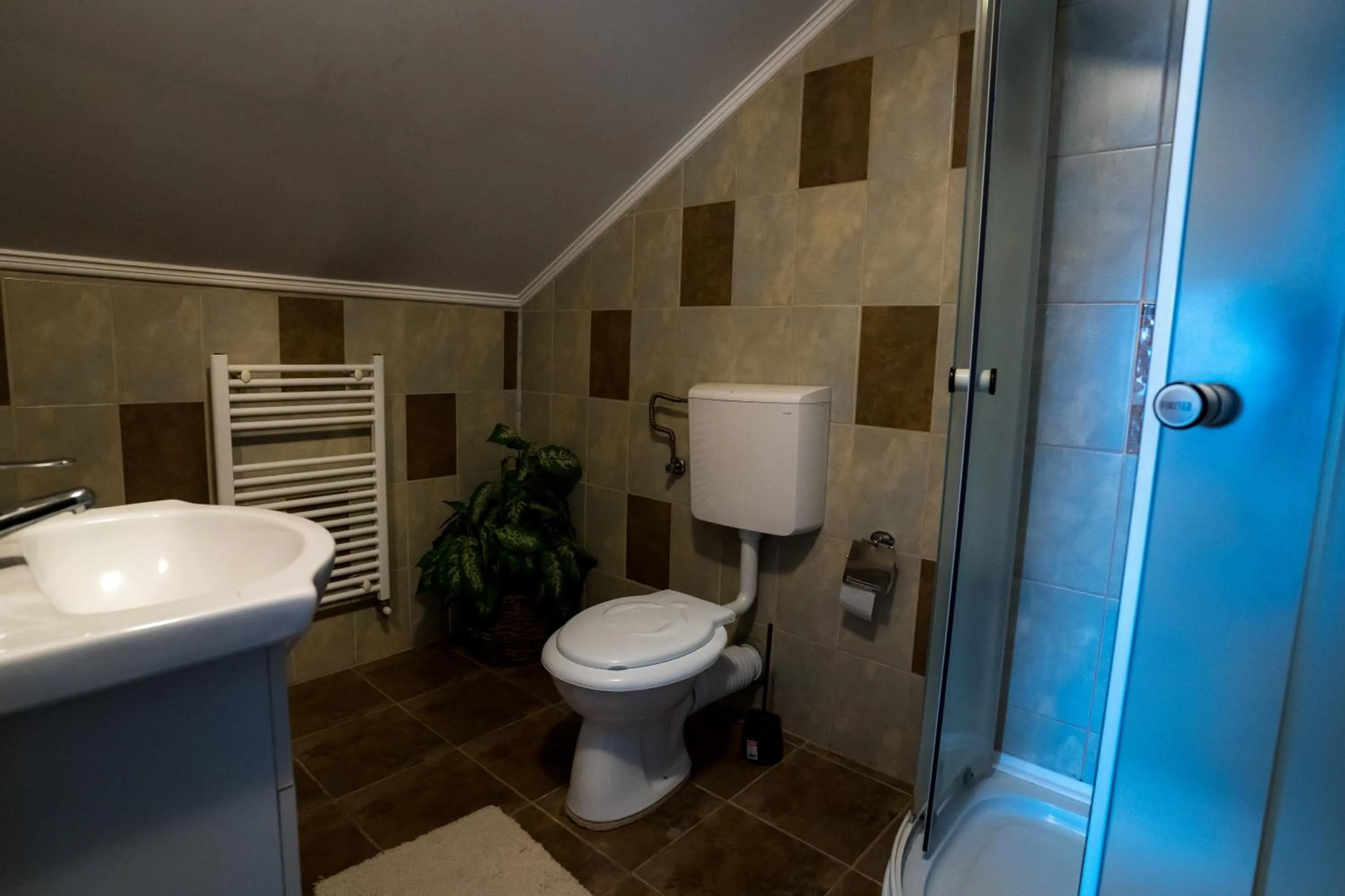 Bathroom in Pensiunea Dacia Deva