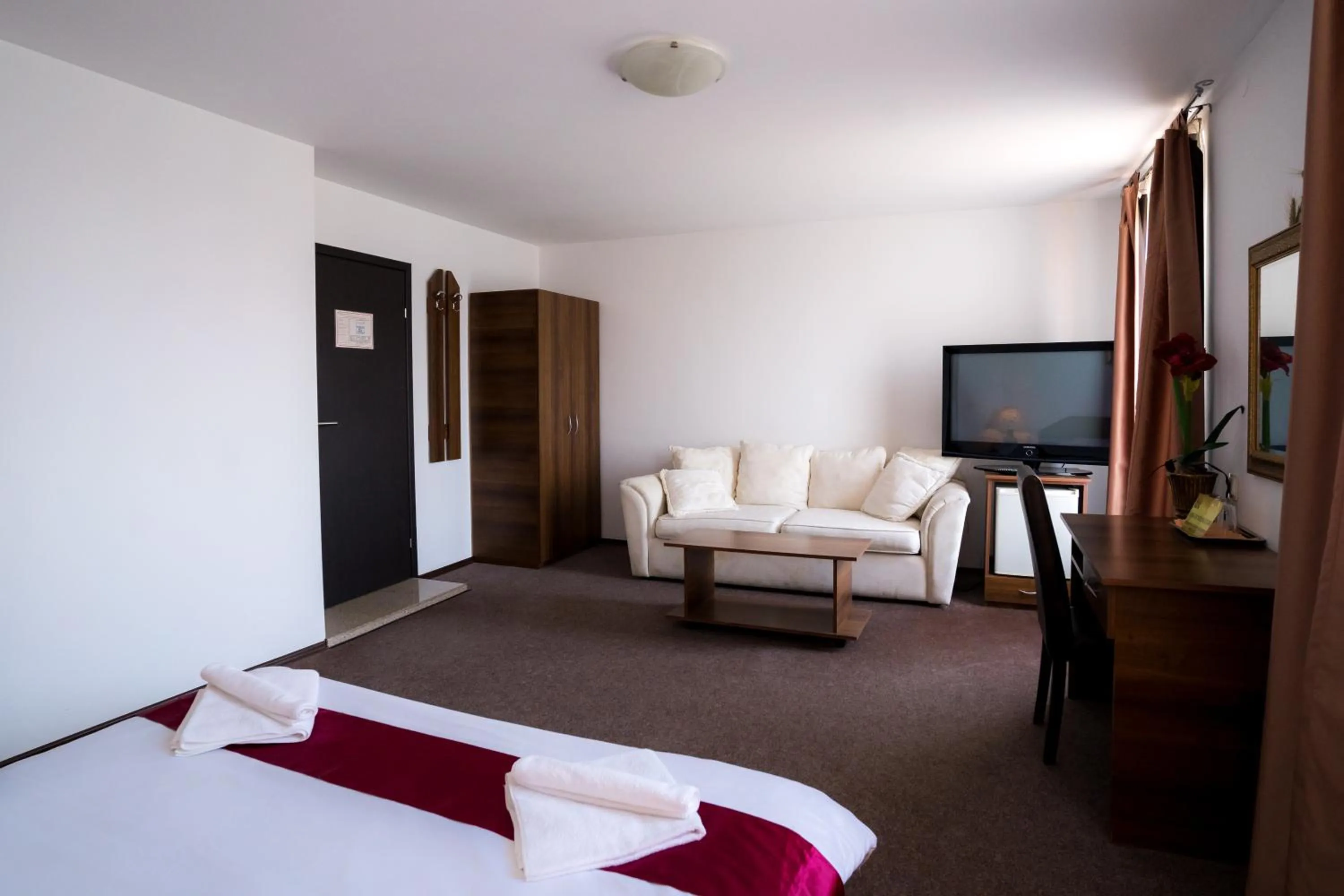 TV and multimedia in Pensiunea Dacia Deva