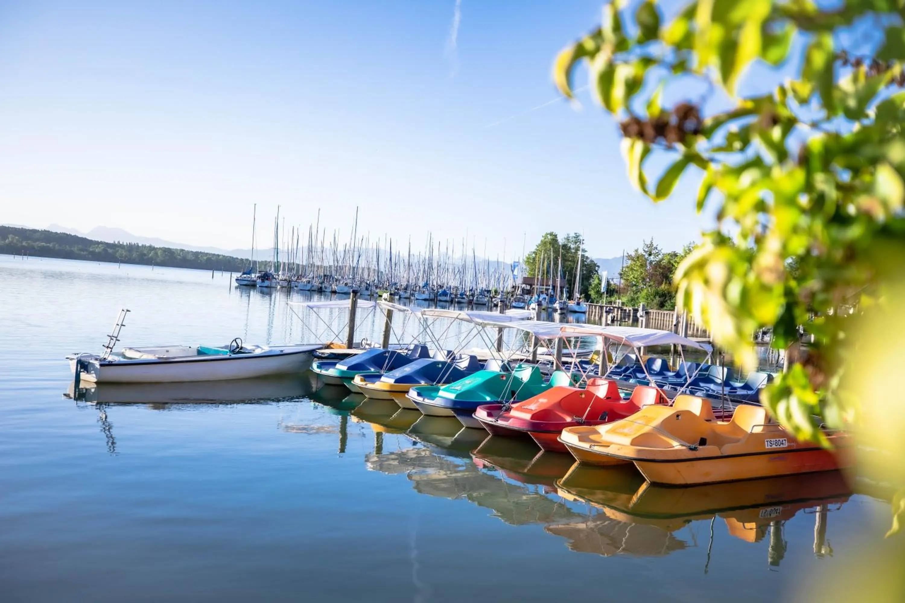 Activities in SeeHotel Wassermann