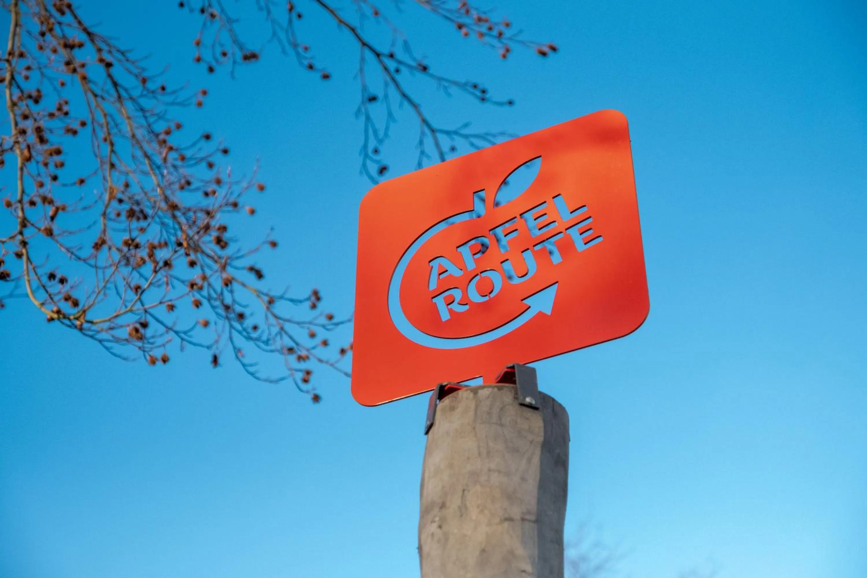 Cycling in Landidyll Hotel Restaurant Weidenbrück & SPA