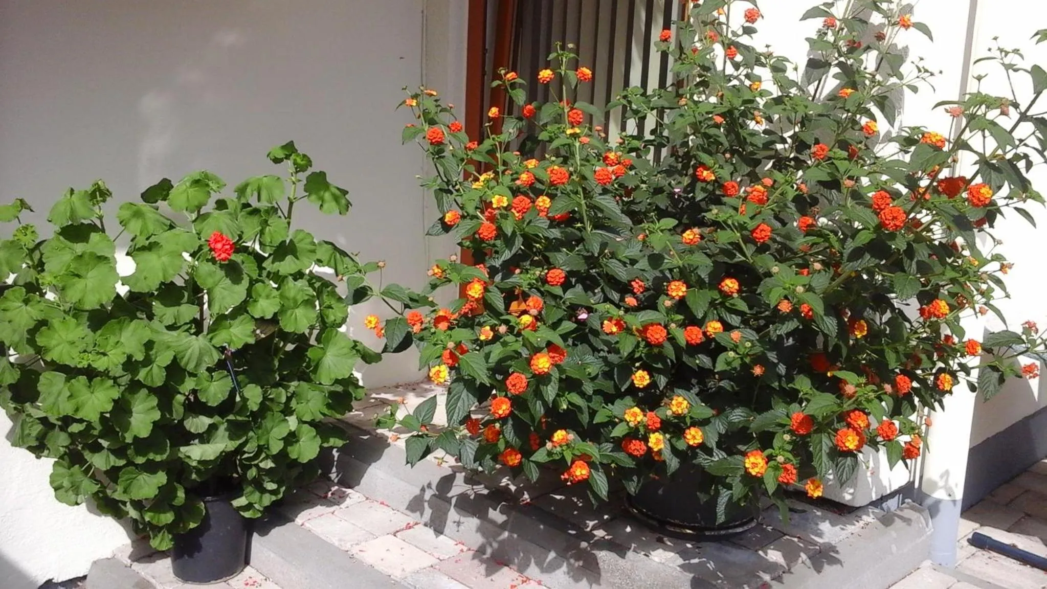 Hotel UNTERKRÄMERHOF