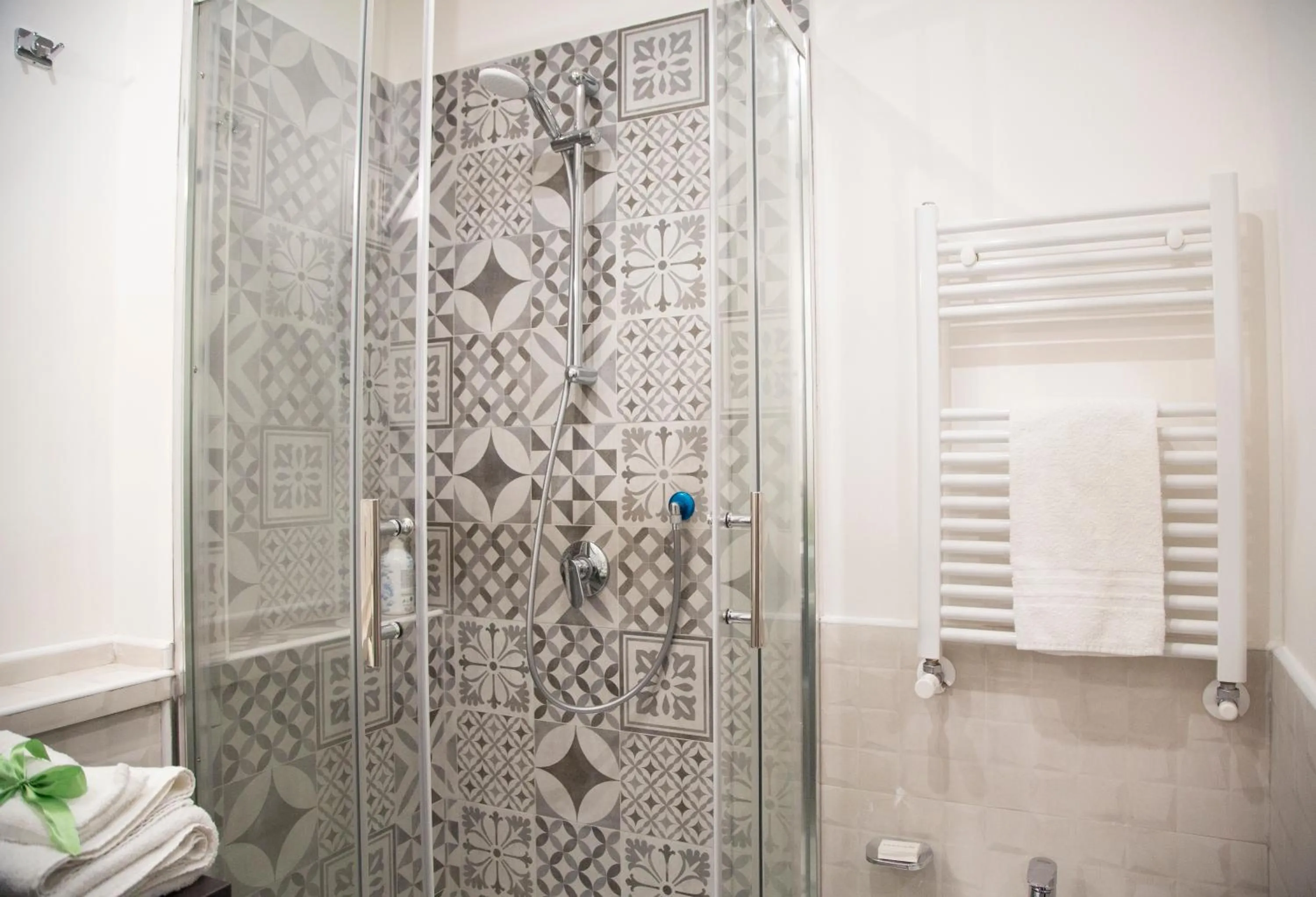 Shower in Handmade Rest Room