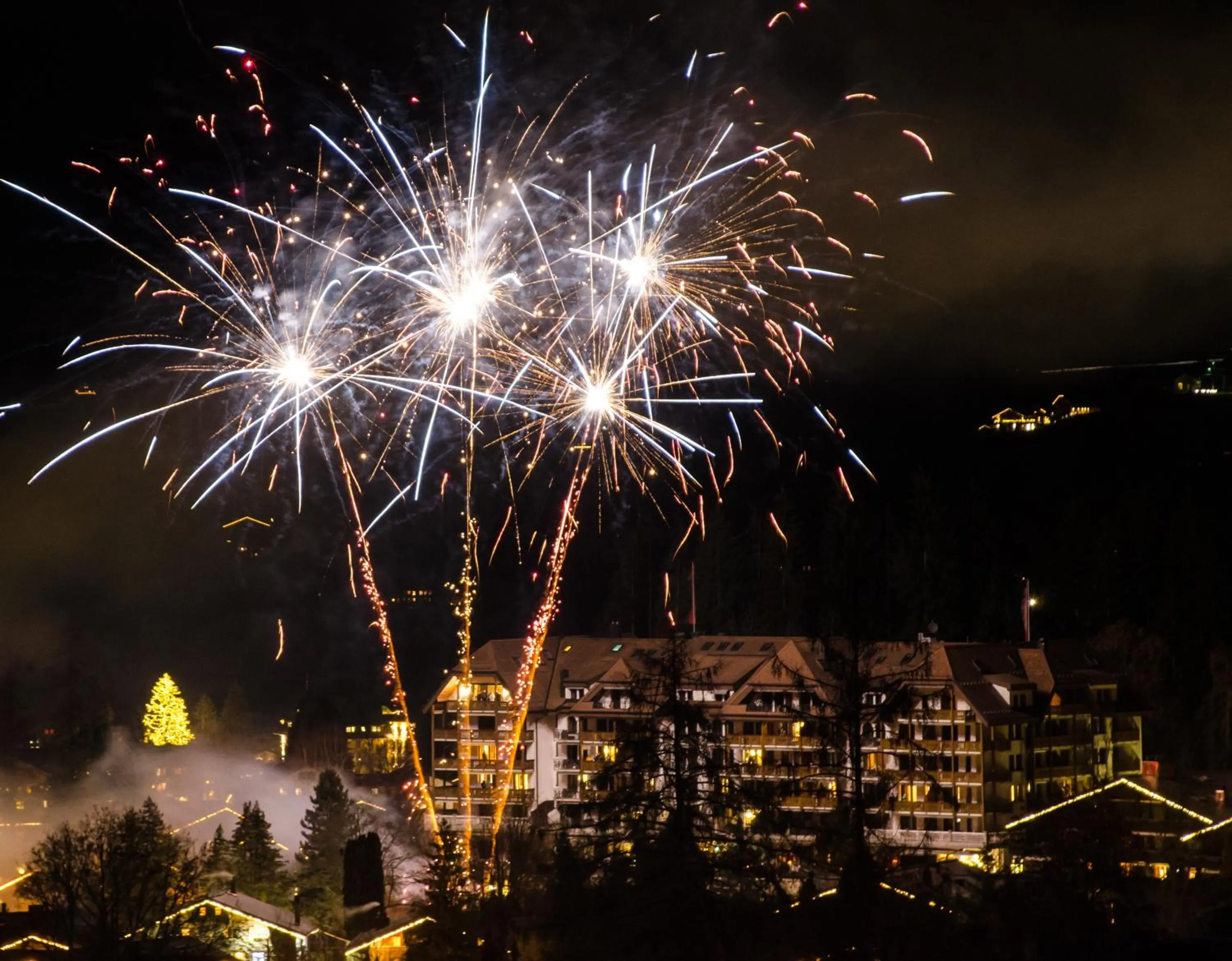 Property building in Park Gstaad