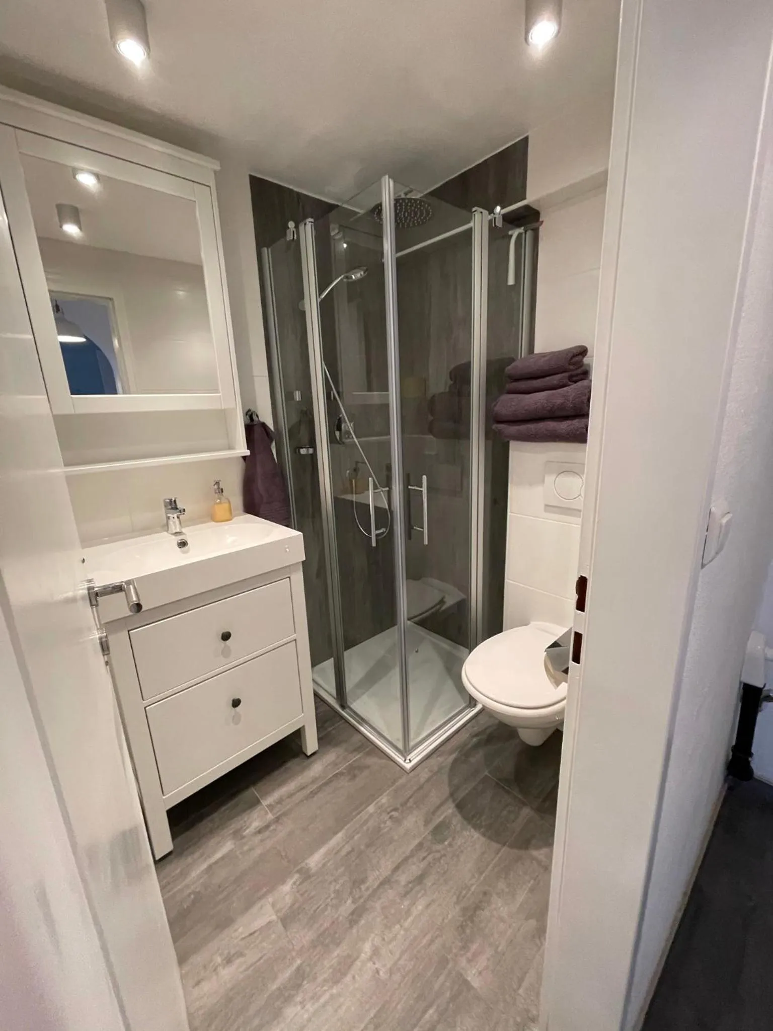 Shower in Gulewicz Apartments