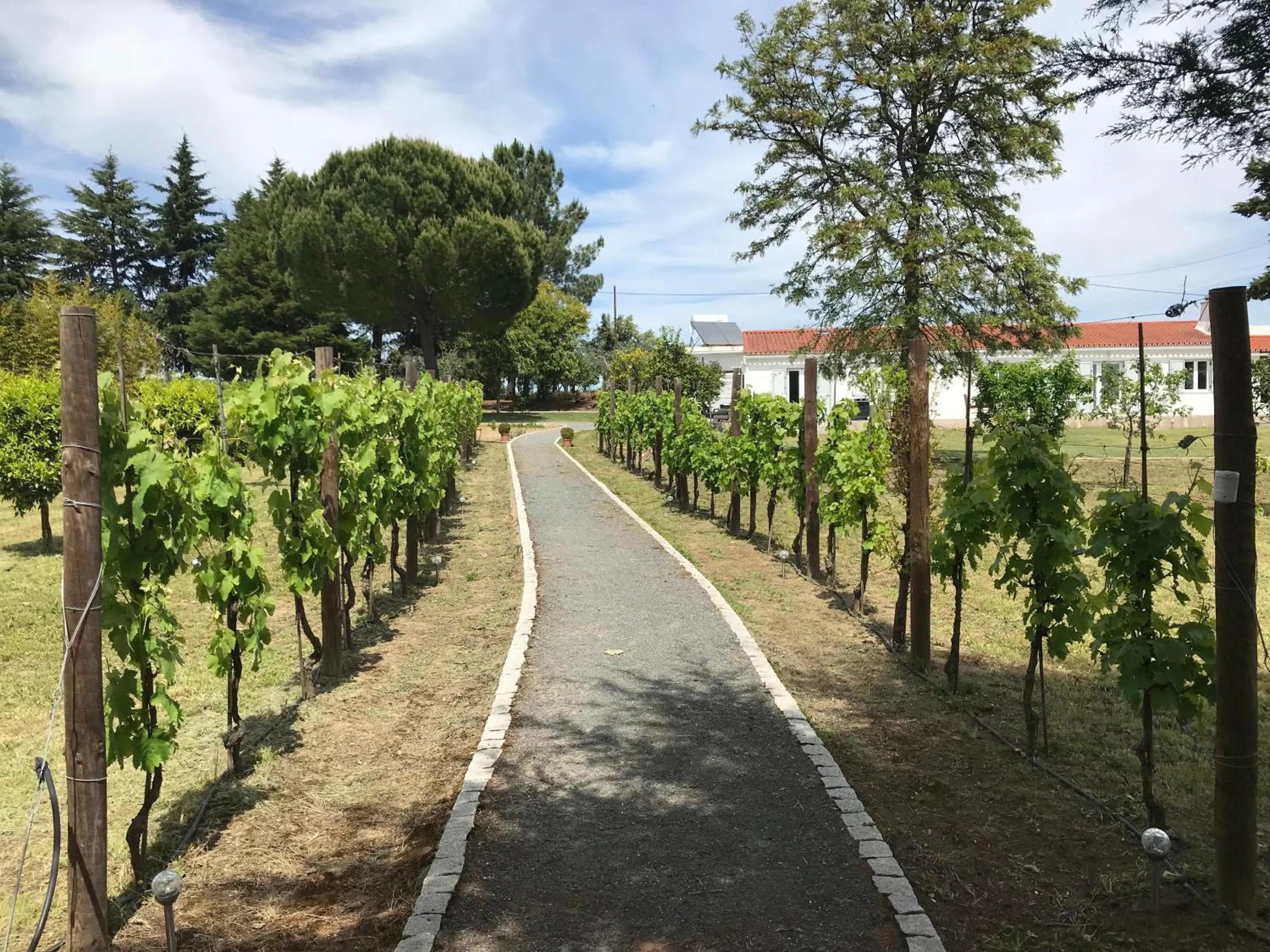 Horta da Rosa - Adults Only