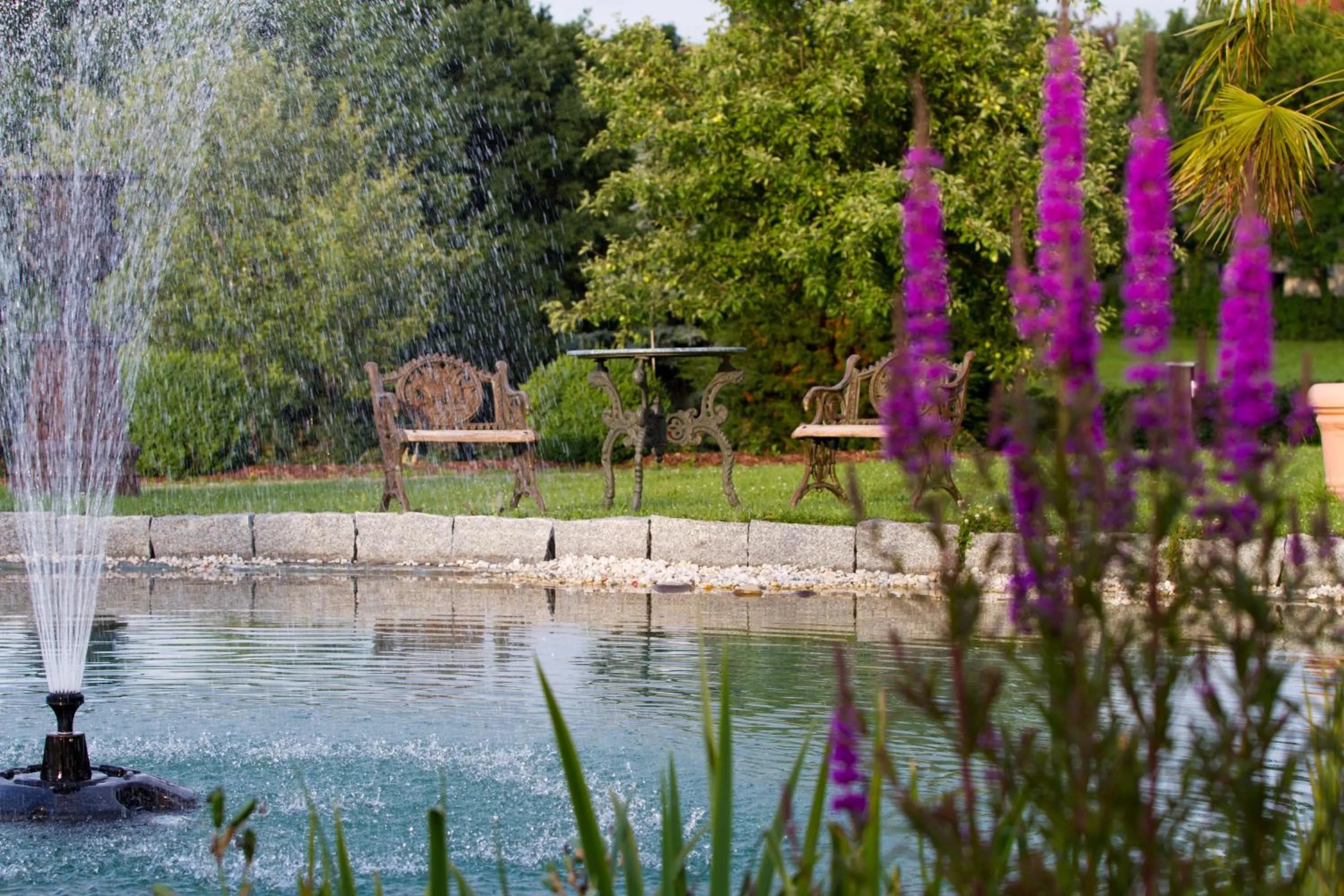Garden in Romantik Hotel Schwanefeld & Spa