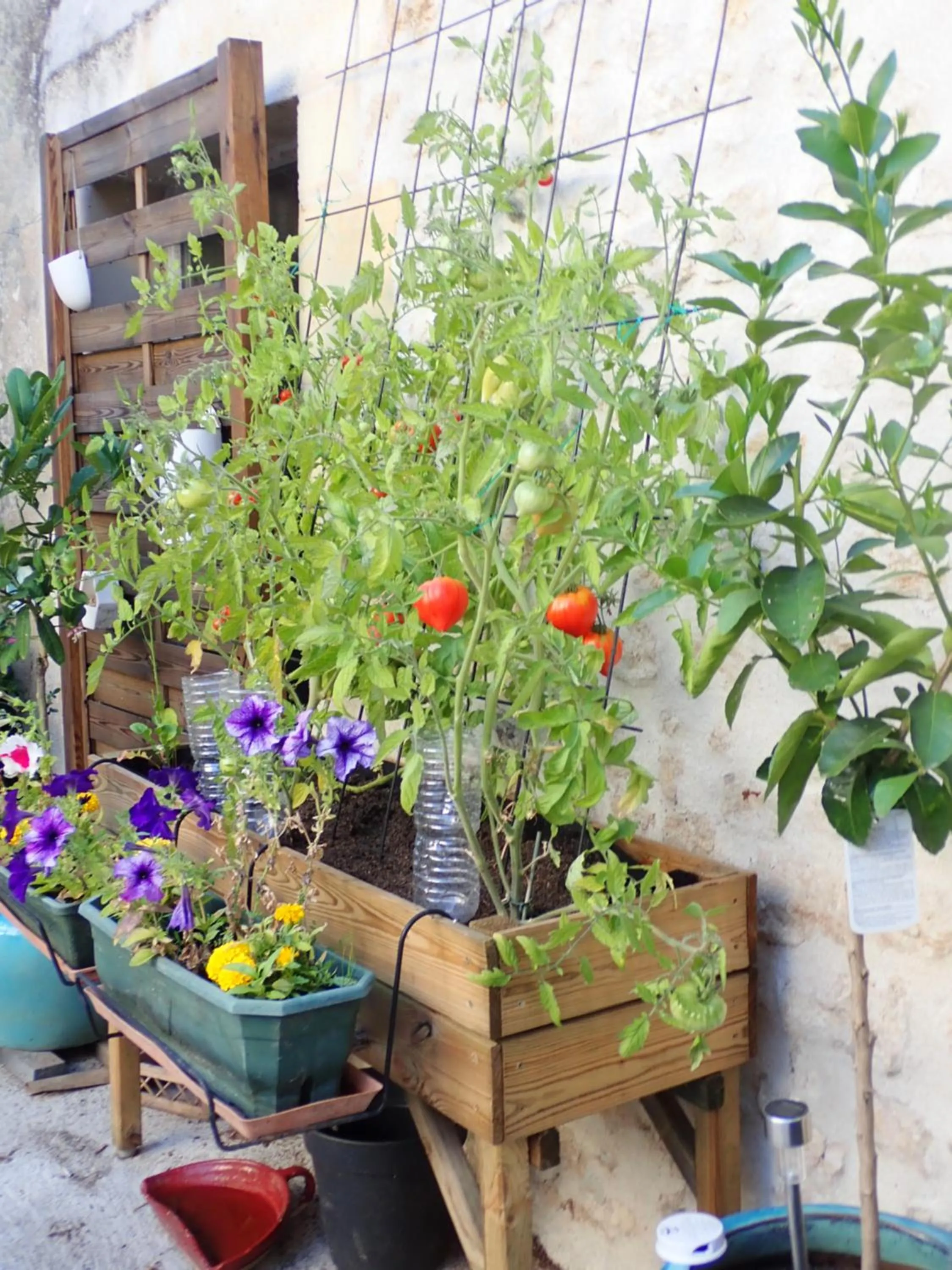 Property building in La Miramboise, chambres et table d hôtes