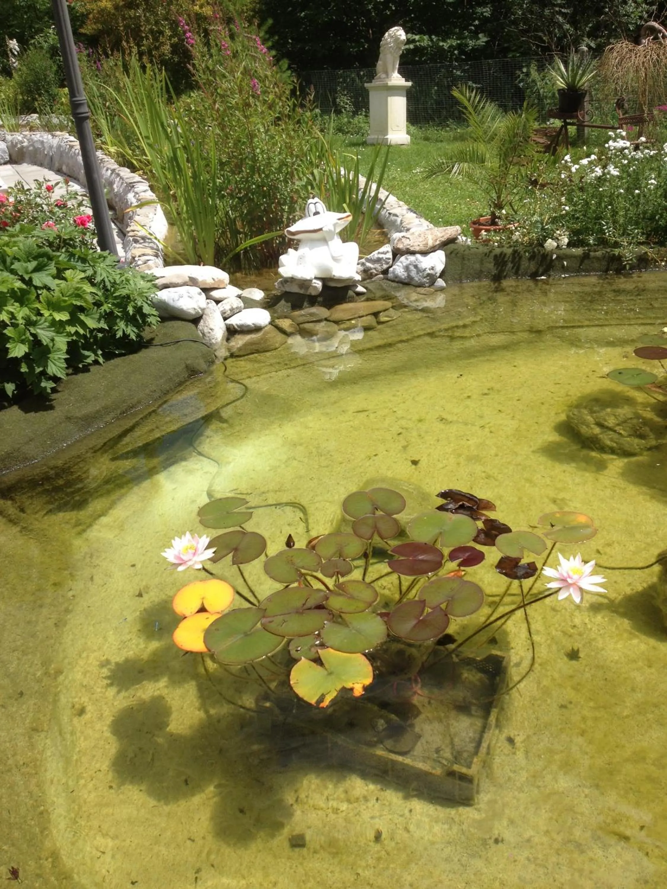 Garden in Vista Resort Hotel