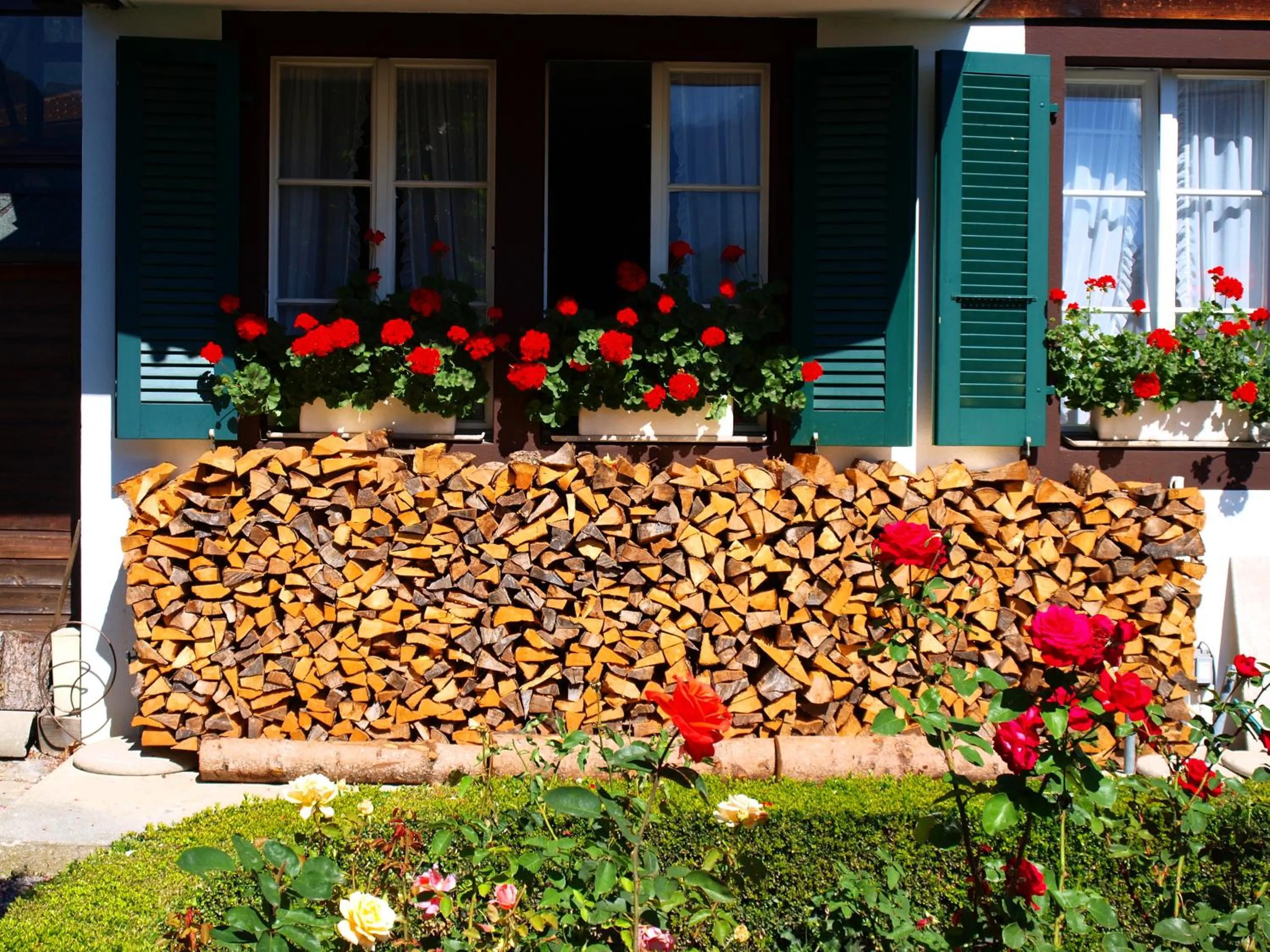 Garden in Hotel Chalet Swiss