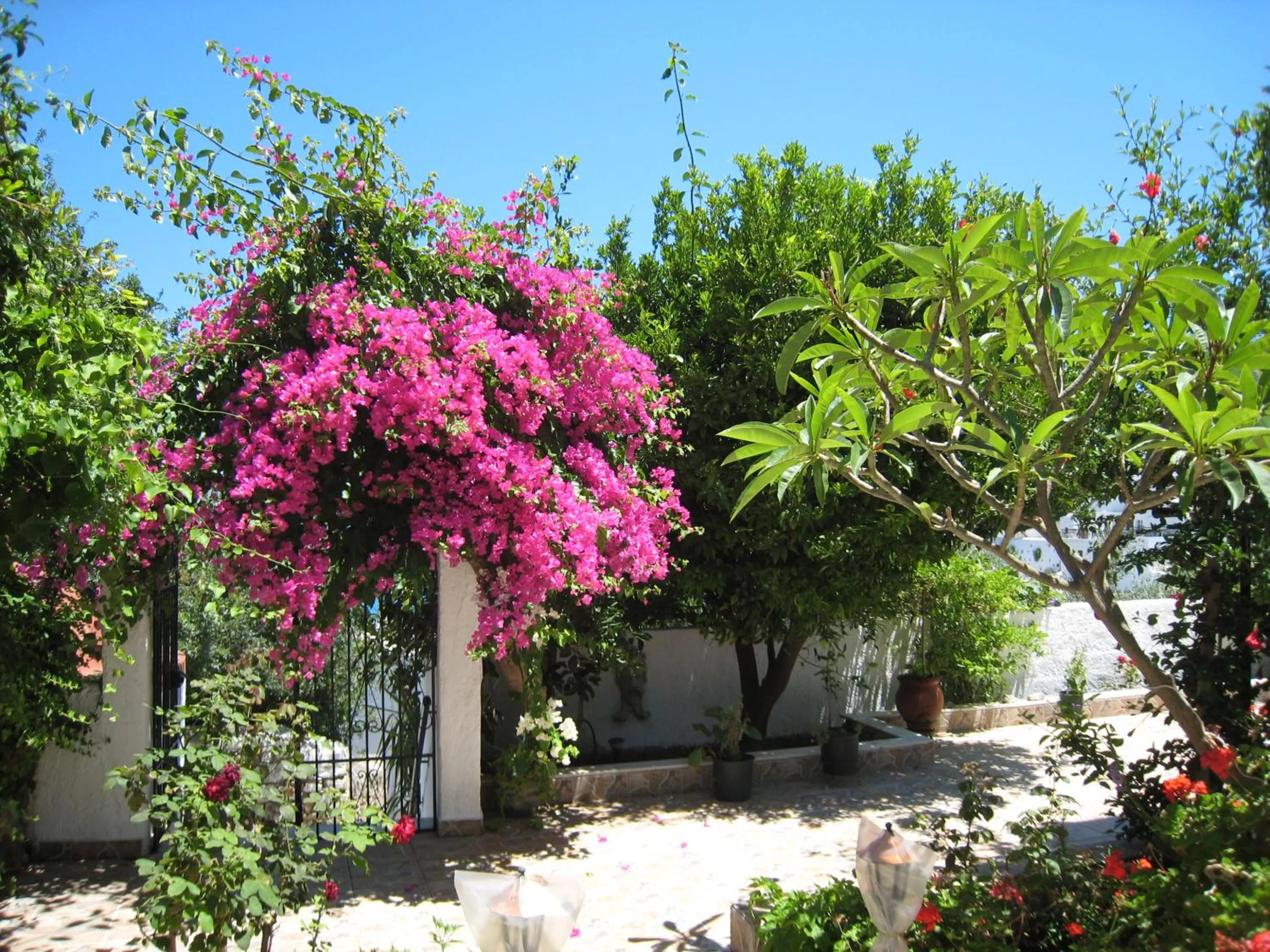 Property building in Eleftheria Lindian Studios II