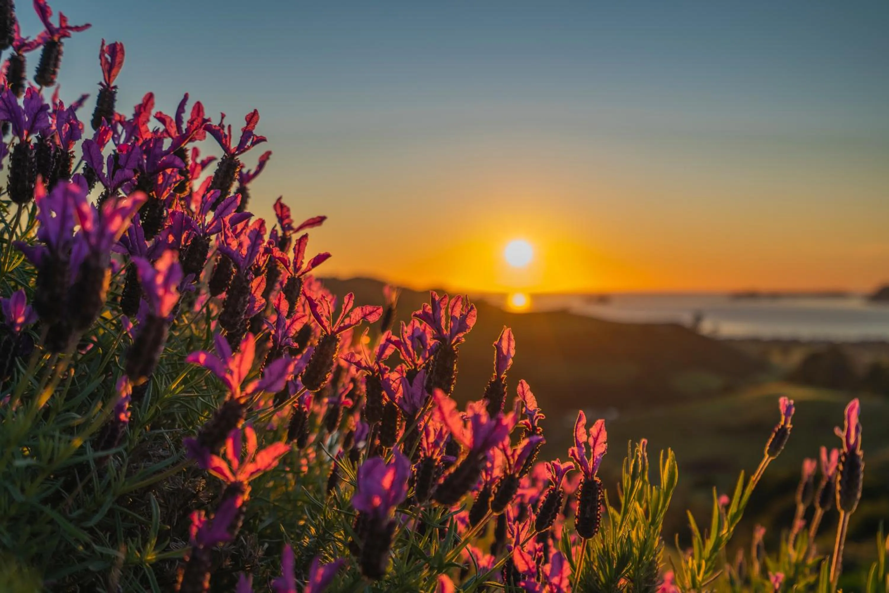 View (from property/room) in Bayview Valley Lodge Bed & Breakfast