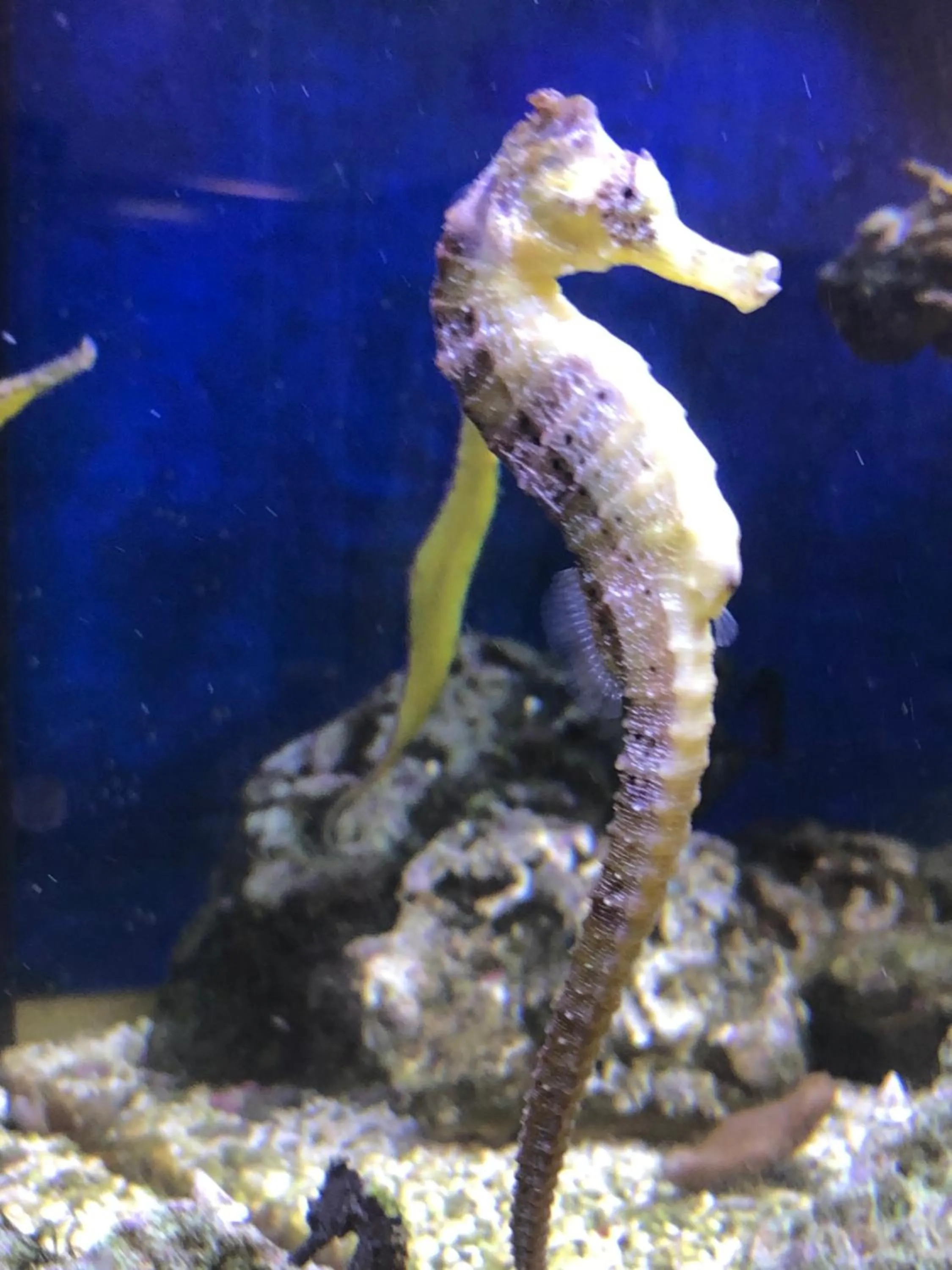 Activities in Hotel BB Bahnhof Bertsdorf