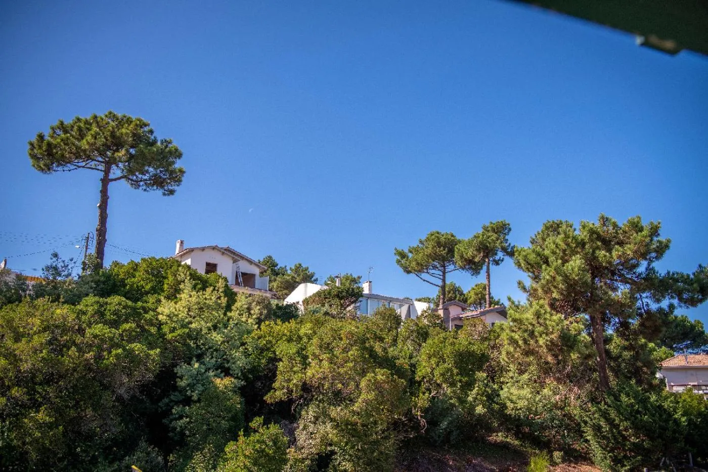 Garden in Villa Aitama