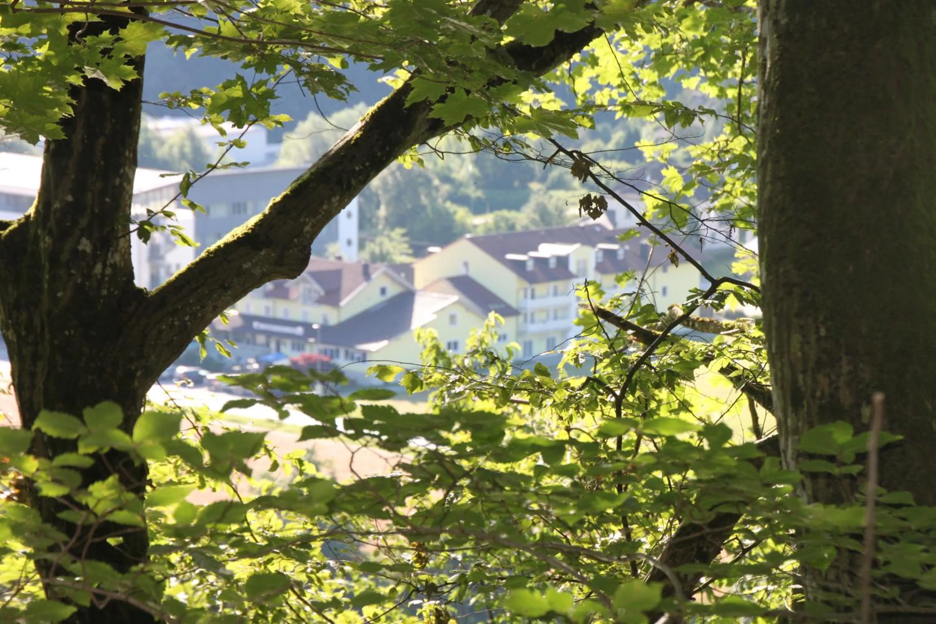 Spring in Gasthof Hotel zur Post