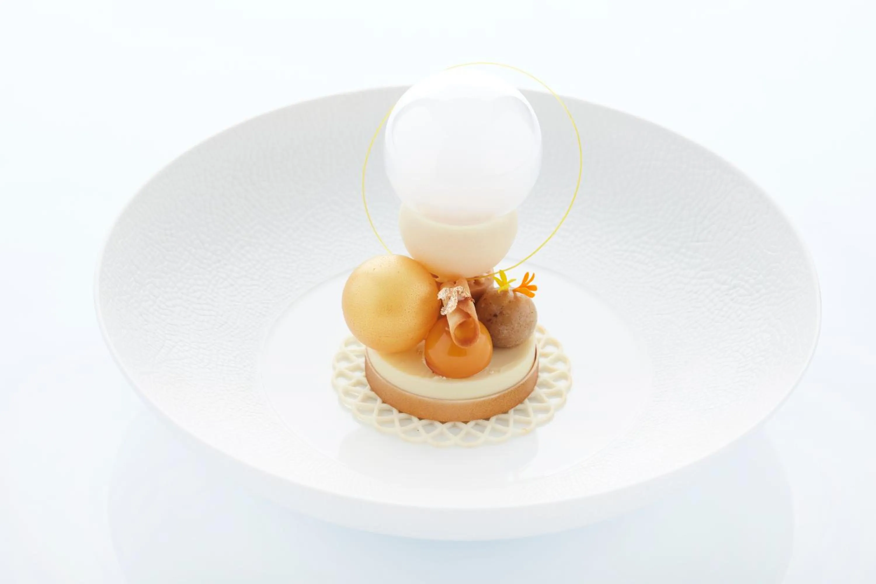 Restaurant/places to eat in Botanic Sanctuary Antwerp - The Leading Hotels of the World