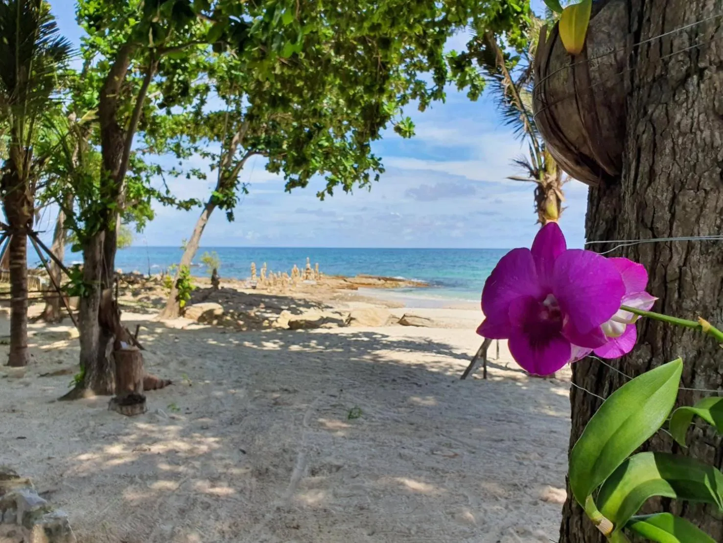 Natural landscape in Blue Bay Bungalow