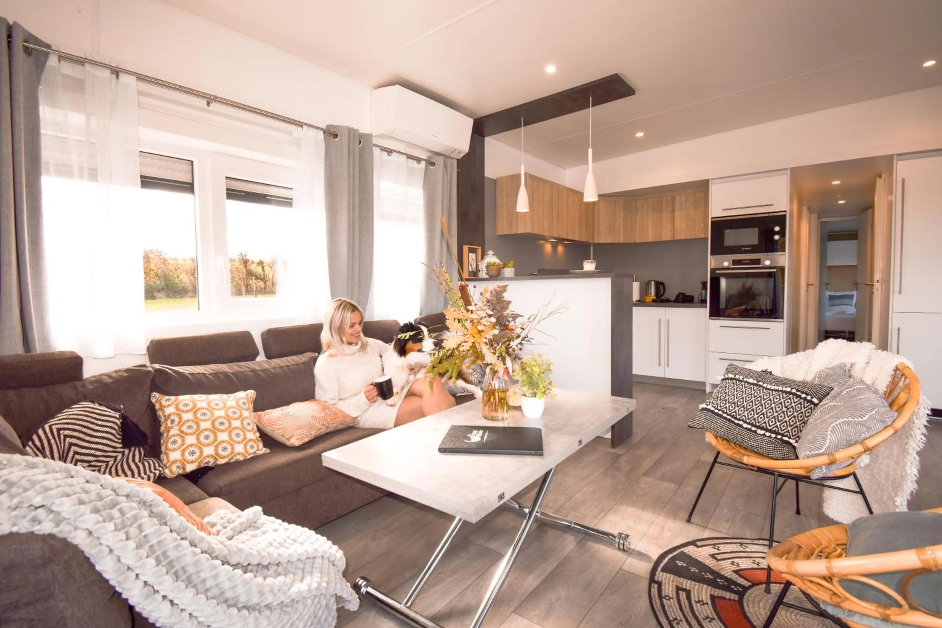 Living room in Les Etangs de la Bassée