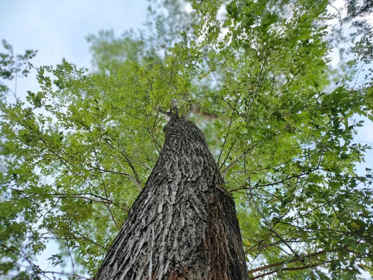 Natural landscape in Rimwang The River Life