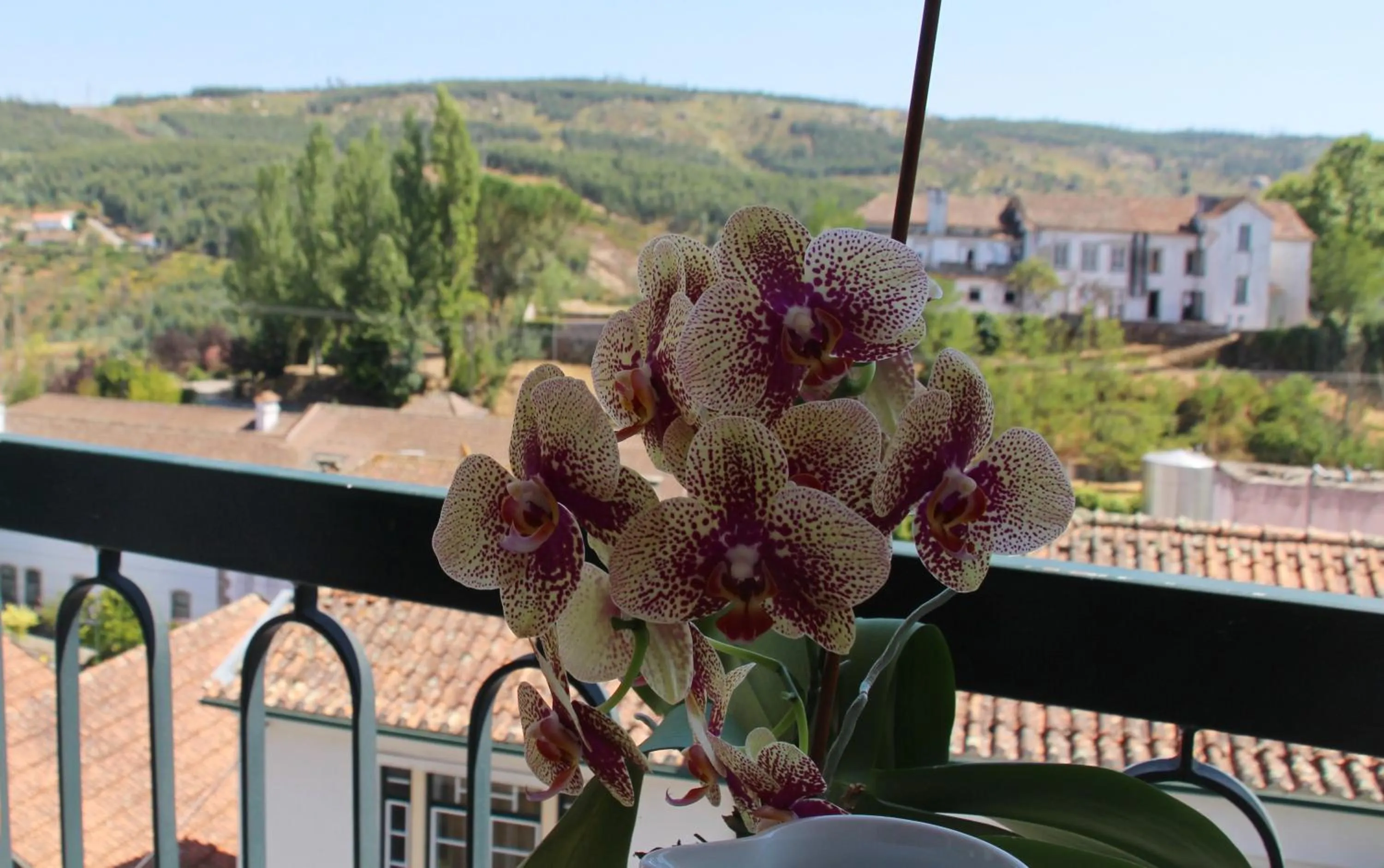 A Moderna - Guest house Casa dos Serpas