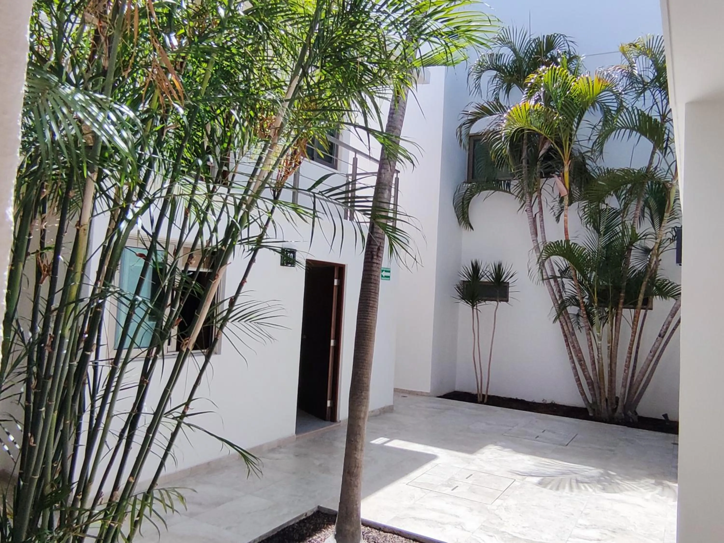 Garden in Hotel Lorimar