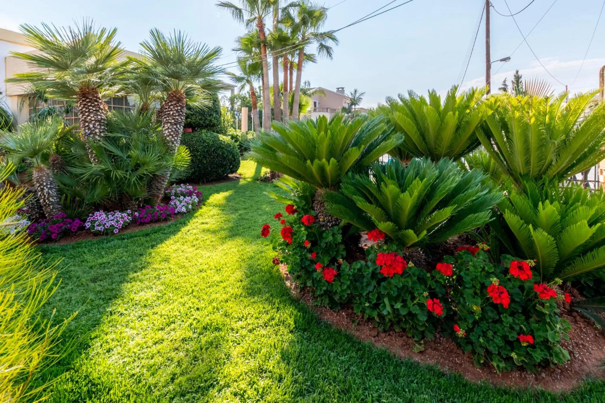 Garden in Dedalos Hotel