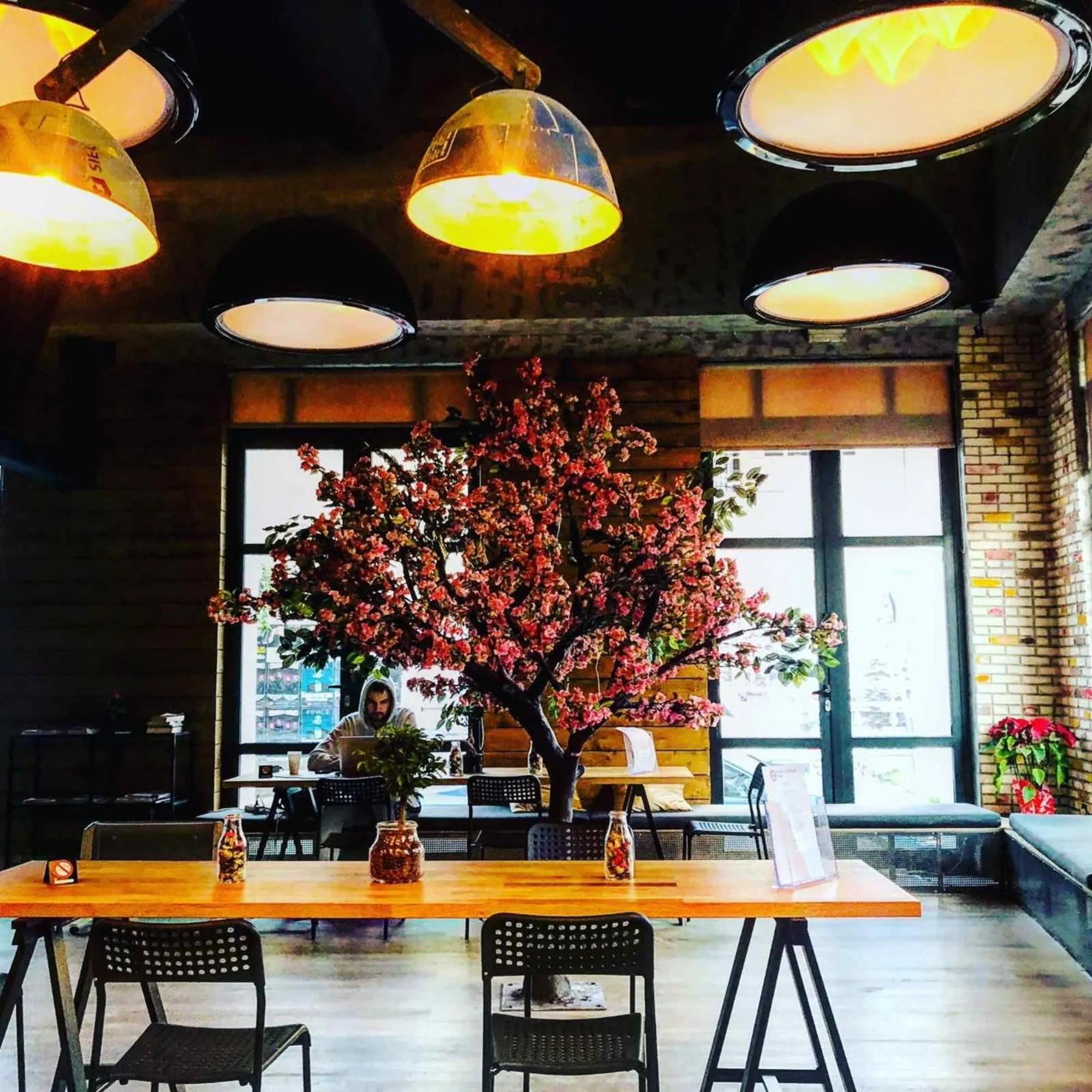 Communal lounge/ TV room in Iconic Athens Hostel