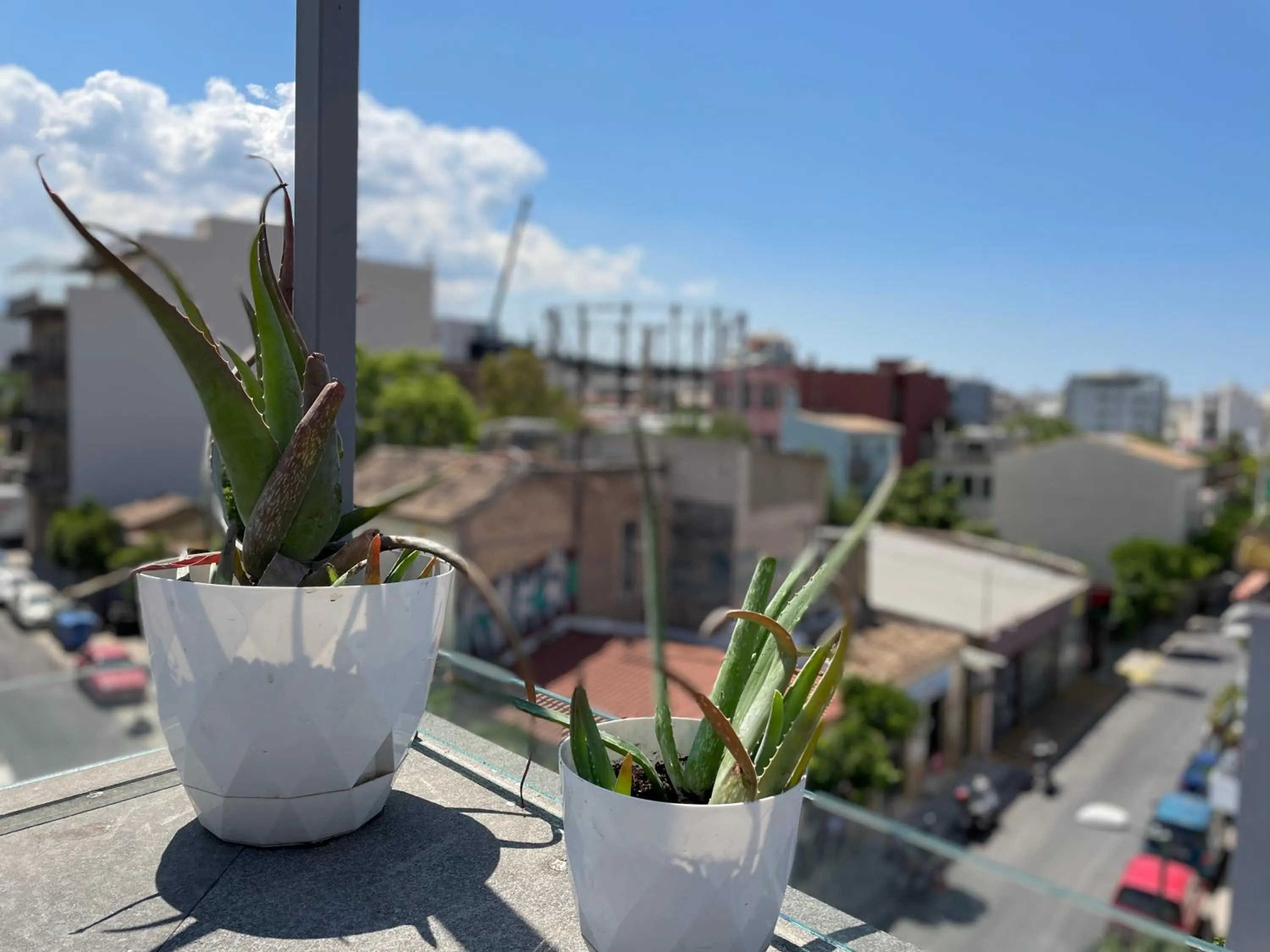 Patio in Iconic Athens Hostel