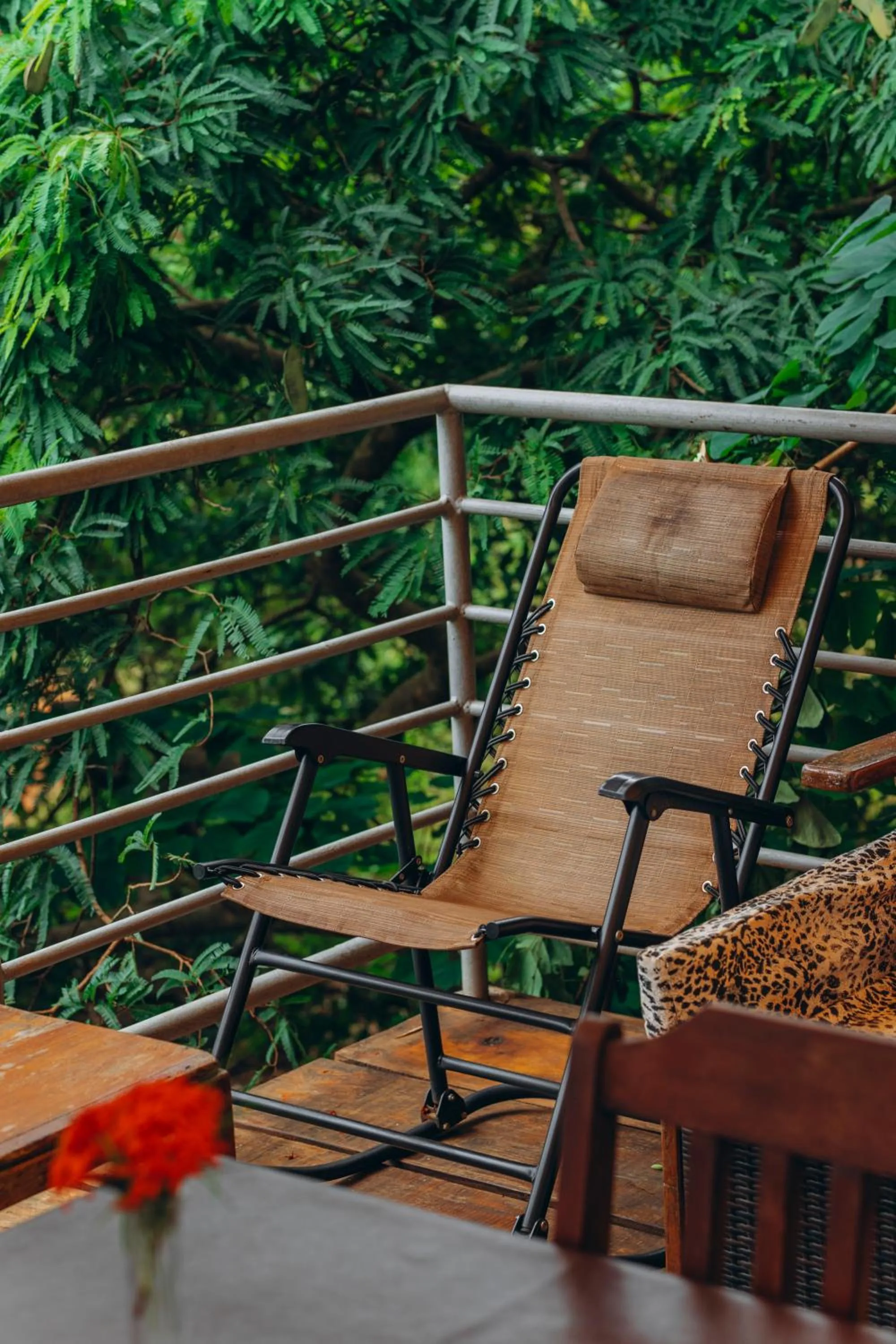 Patio in Edelwyss-Inn