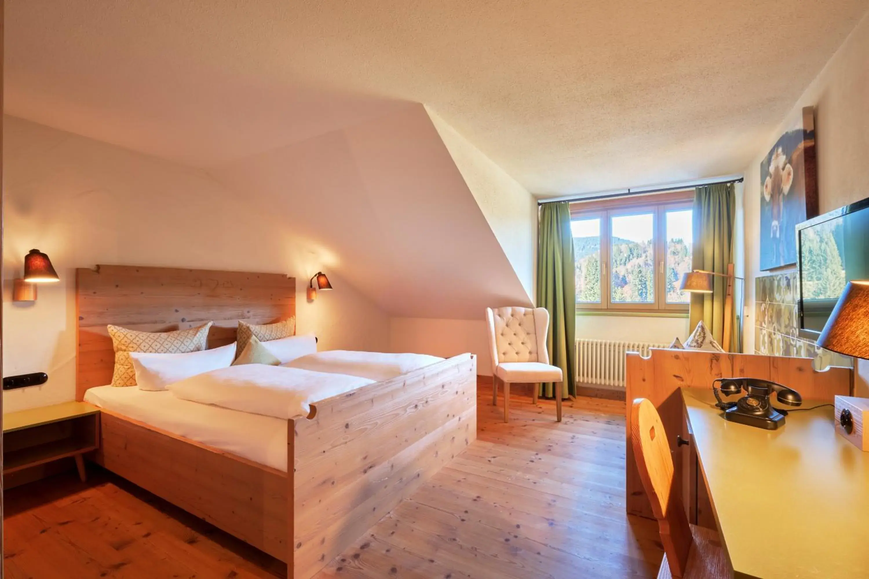 Double Room with Mountain View - single occupancy in Hotel Oberstdorf Double Room with Mountain View - single occupancy in Hotel Oberstdorf