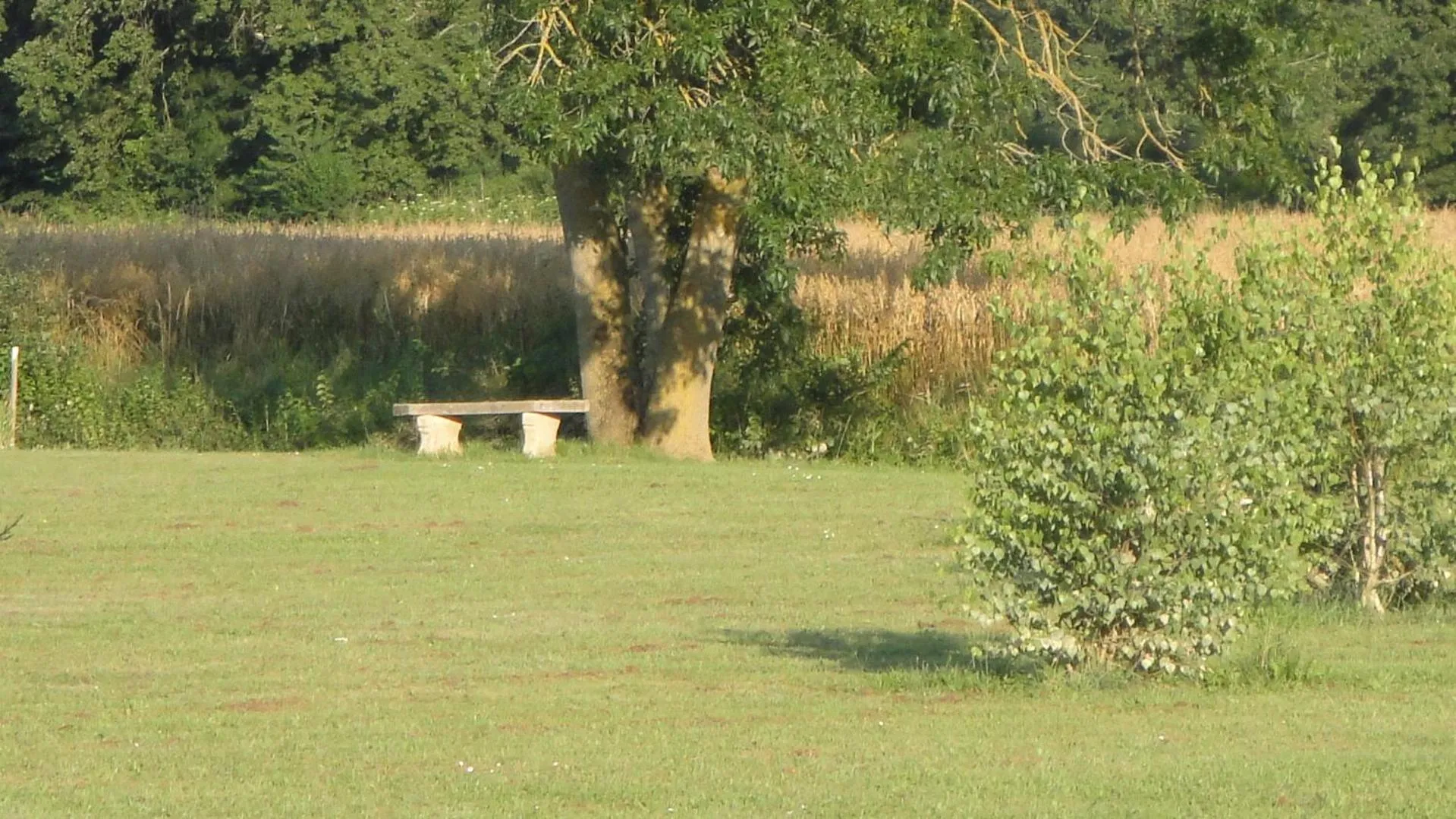 Garden in Domaine de Poudos