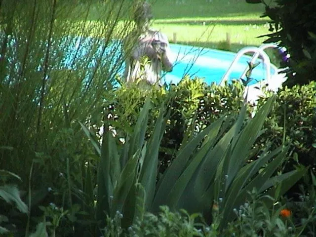 Garden in Domaine de Poudos