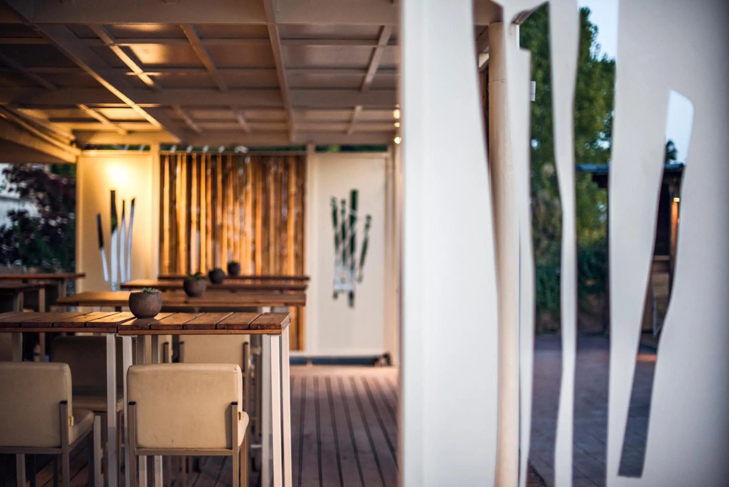 Lounge or bar in Island Kavos