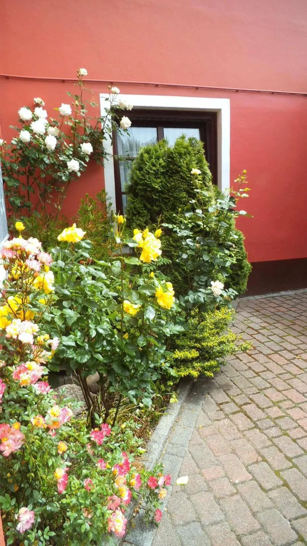Patio in Hotel Columbus und Glamping