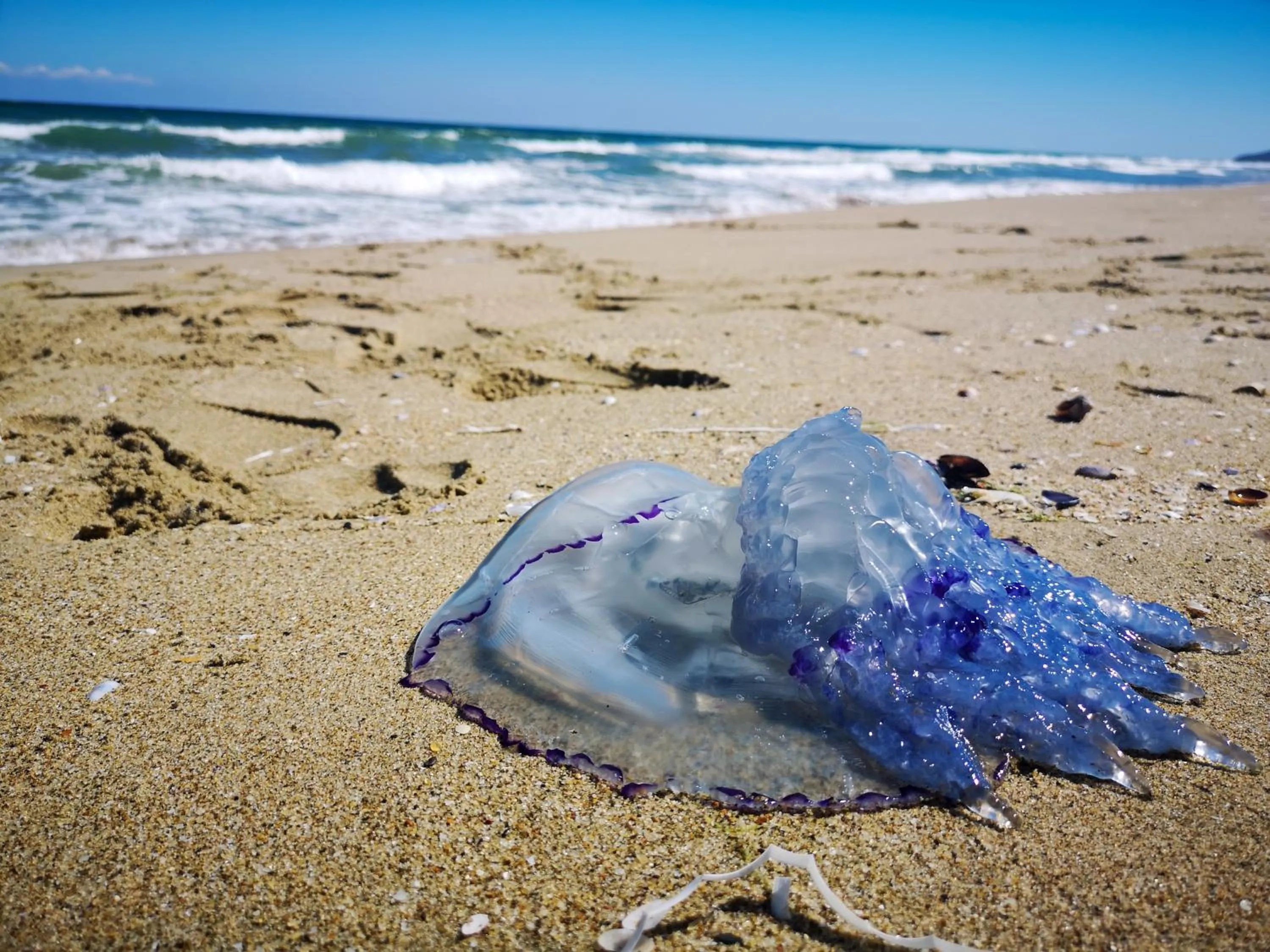 Natural landscape in Weißer Schwan Белият лебед