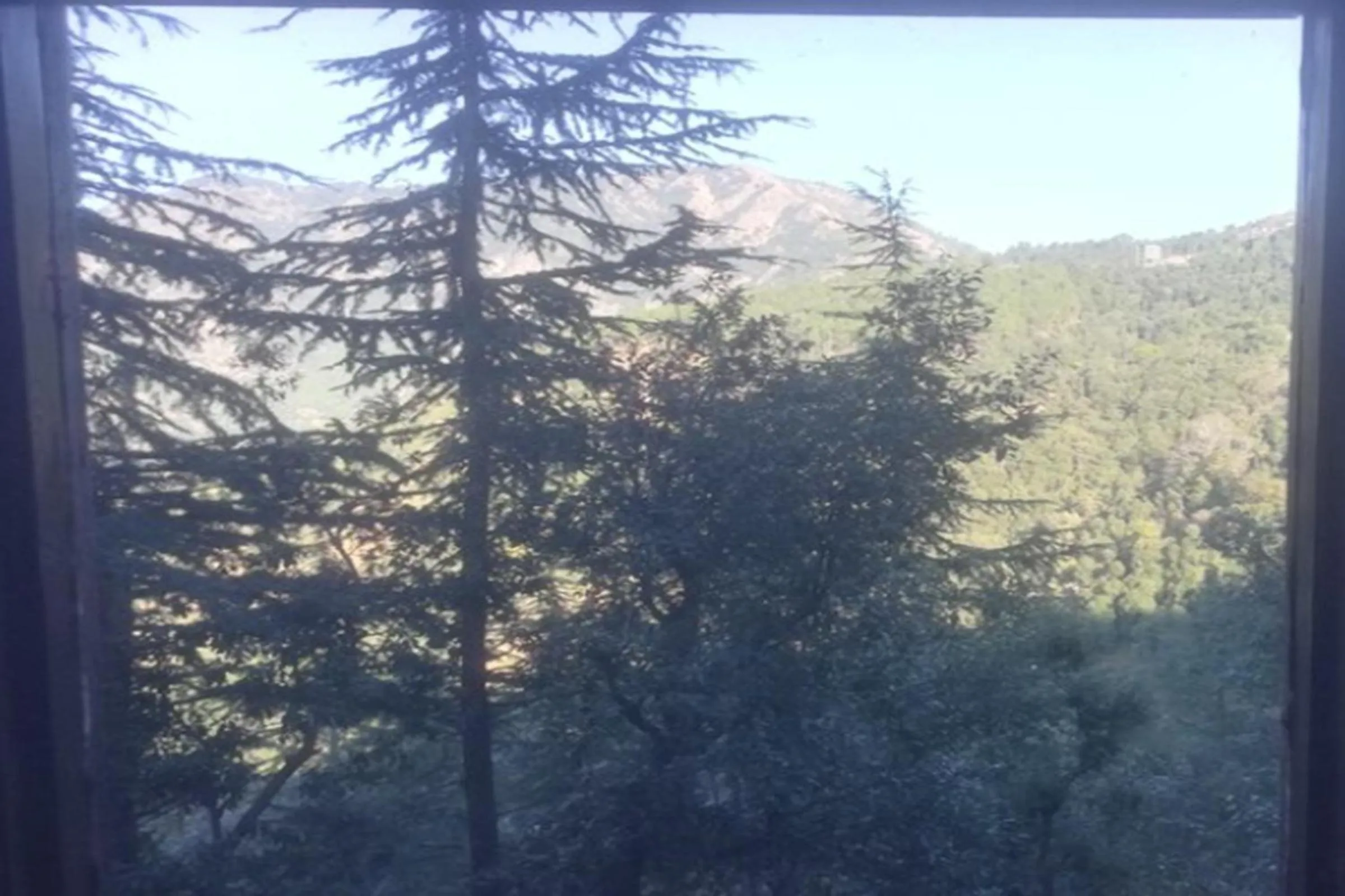 Natural landscape in Galaxy Inn by StayApart