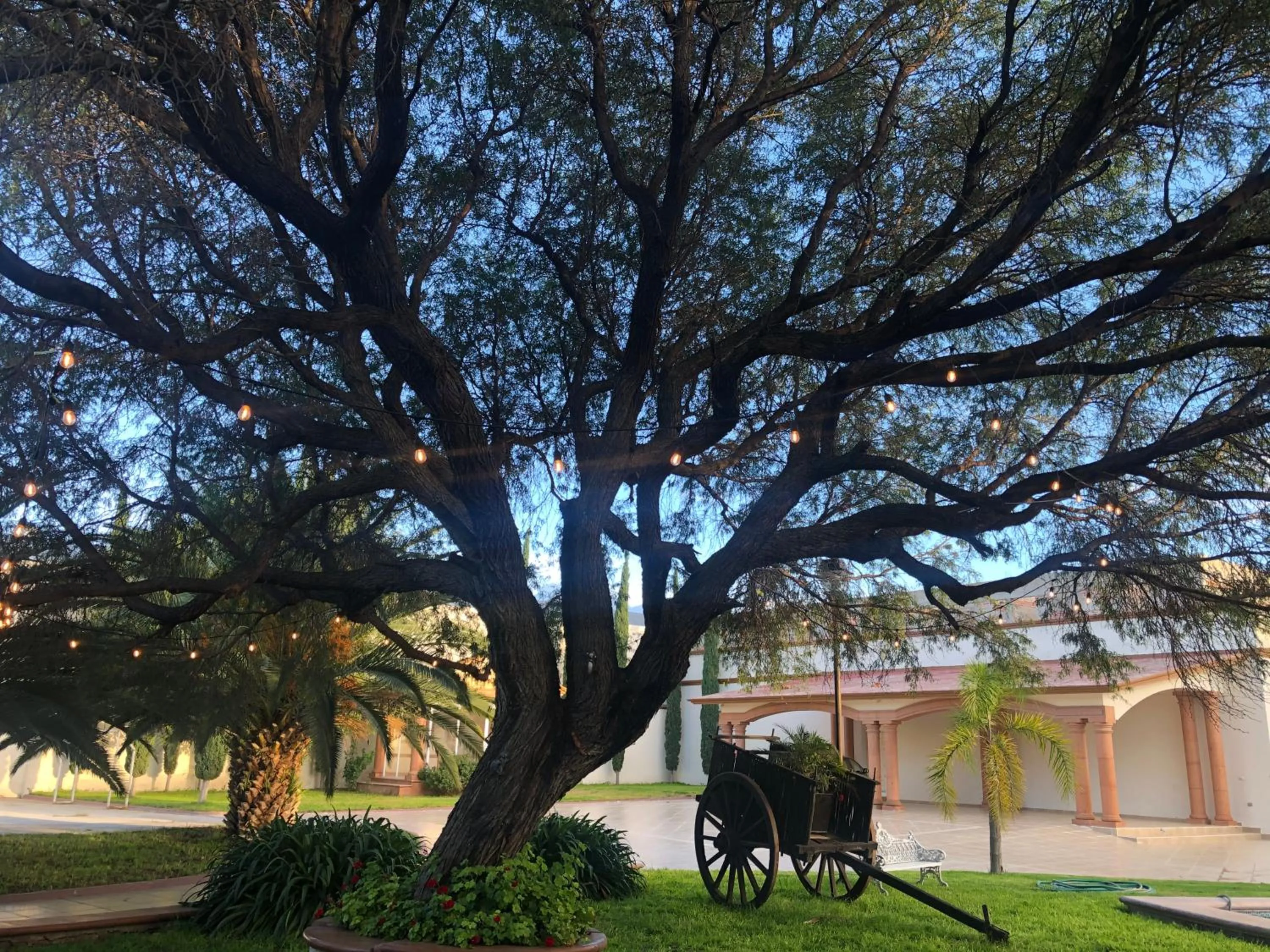 Hotel la finca