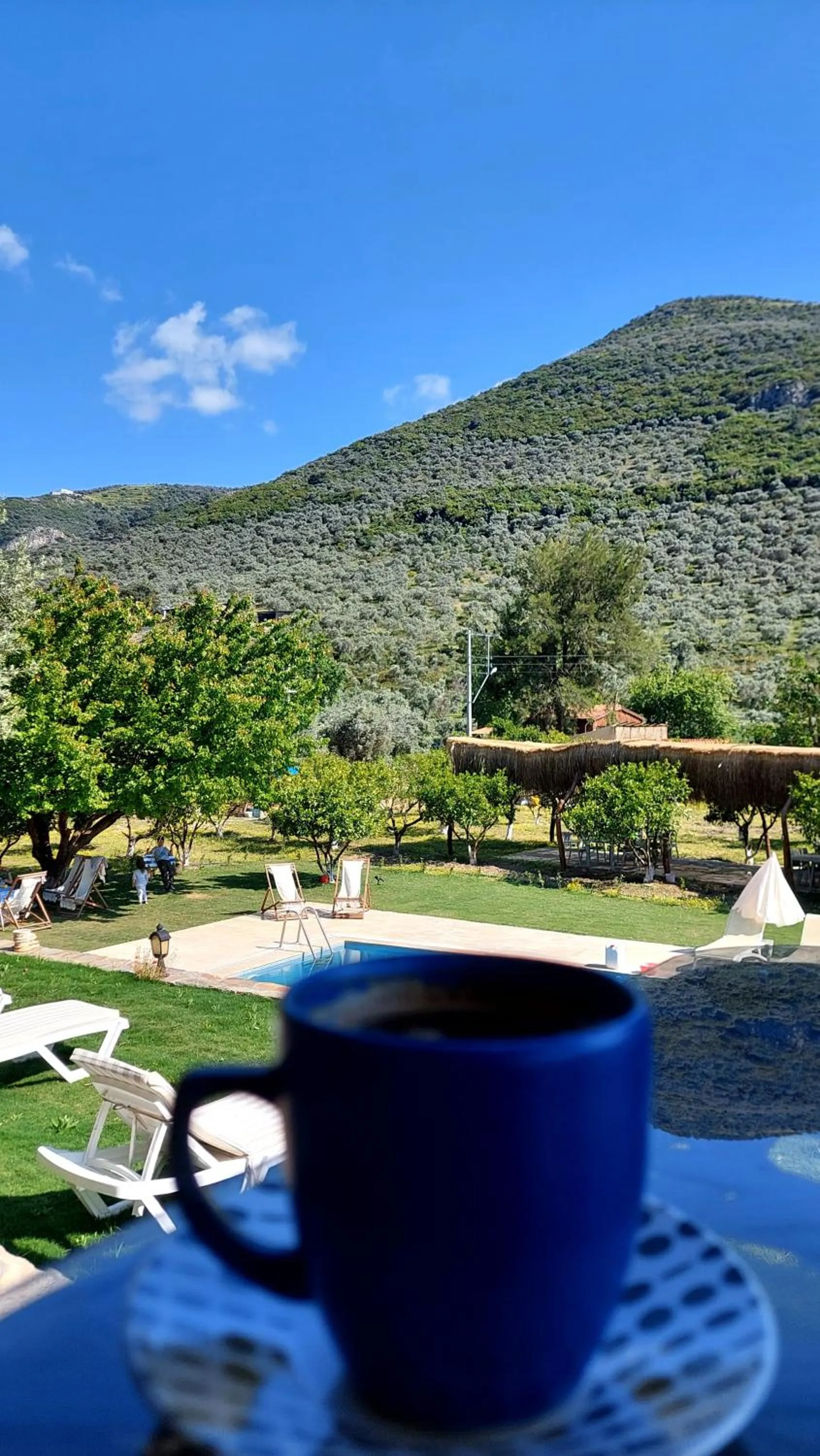 Property building in Pir Efes Konakları