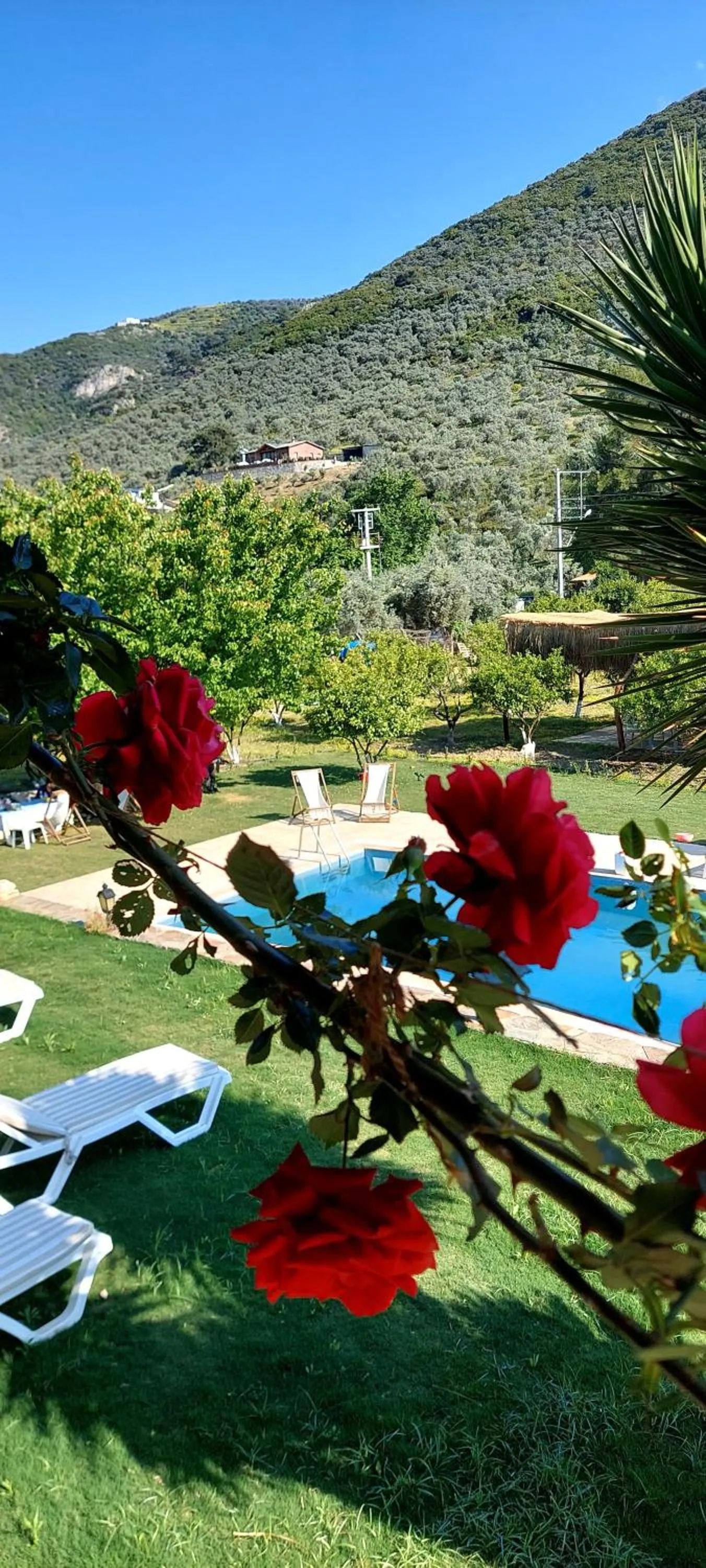 Property building in Pir Efes Konakları