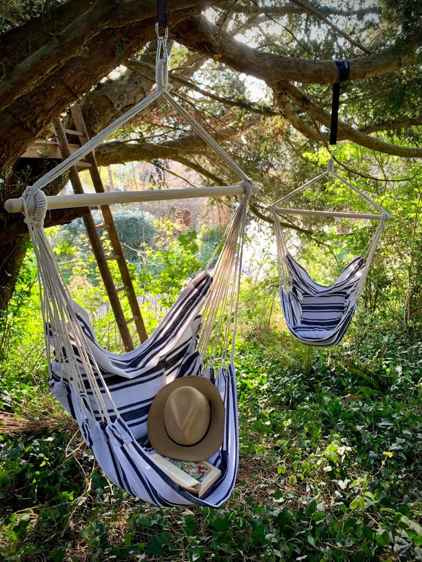 Garden in The Great House B&B