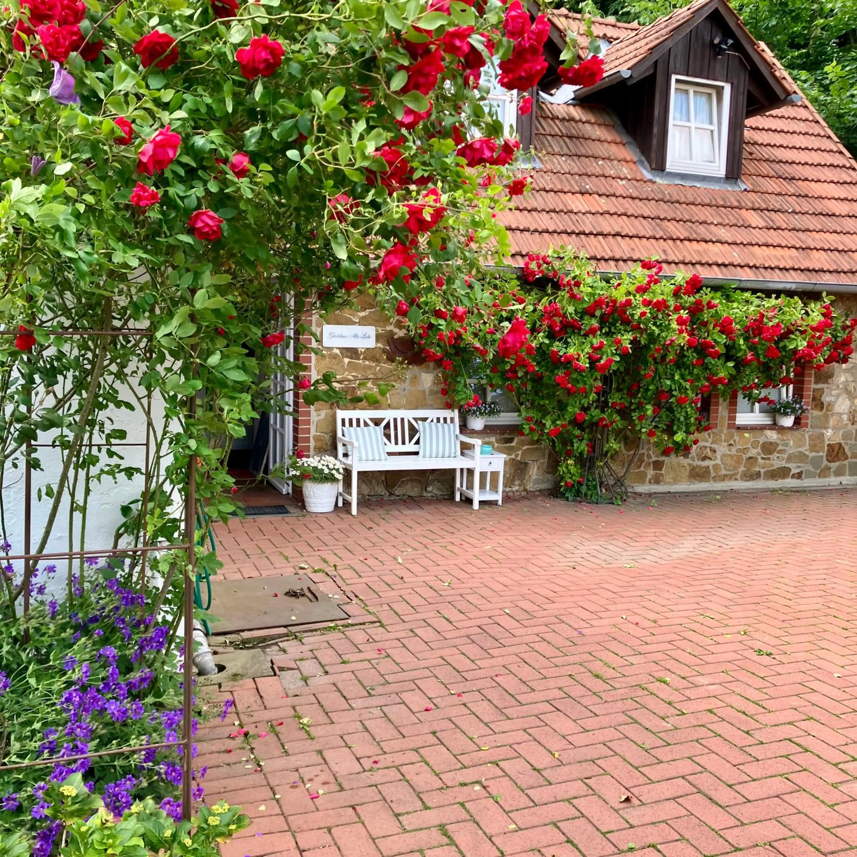 Property building in Gästehaus Alte Liebe