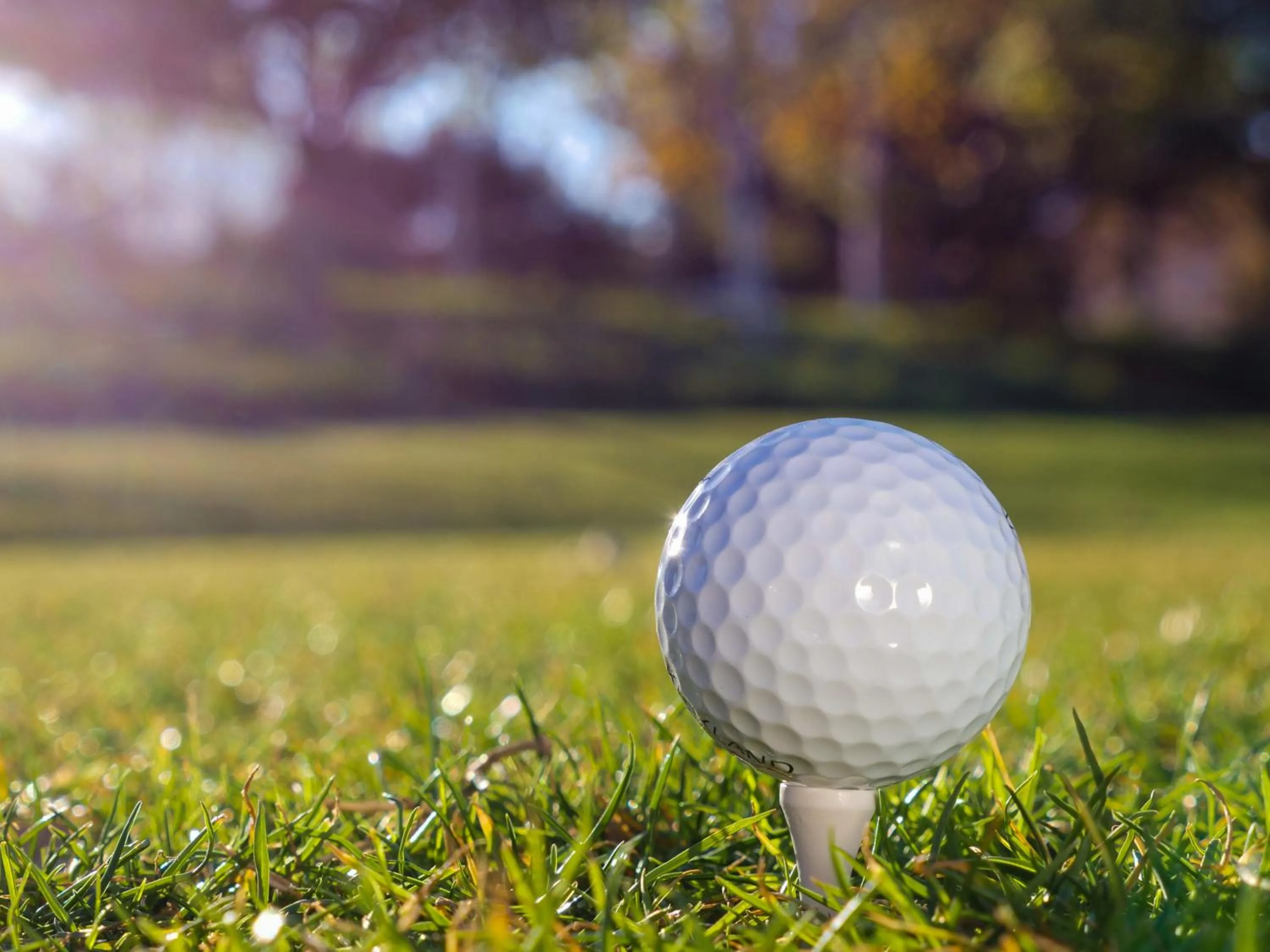 Golfcourse in Steigenberger Hotel Treudelberg Hamburg