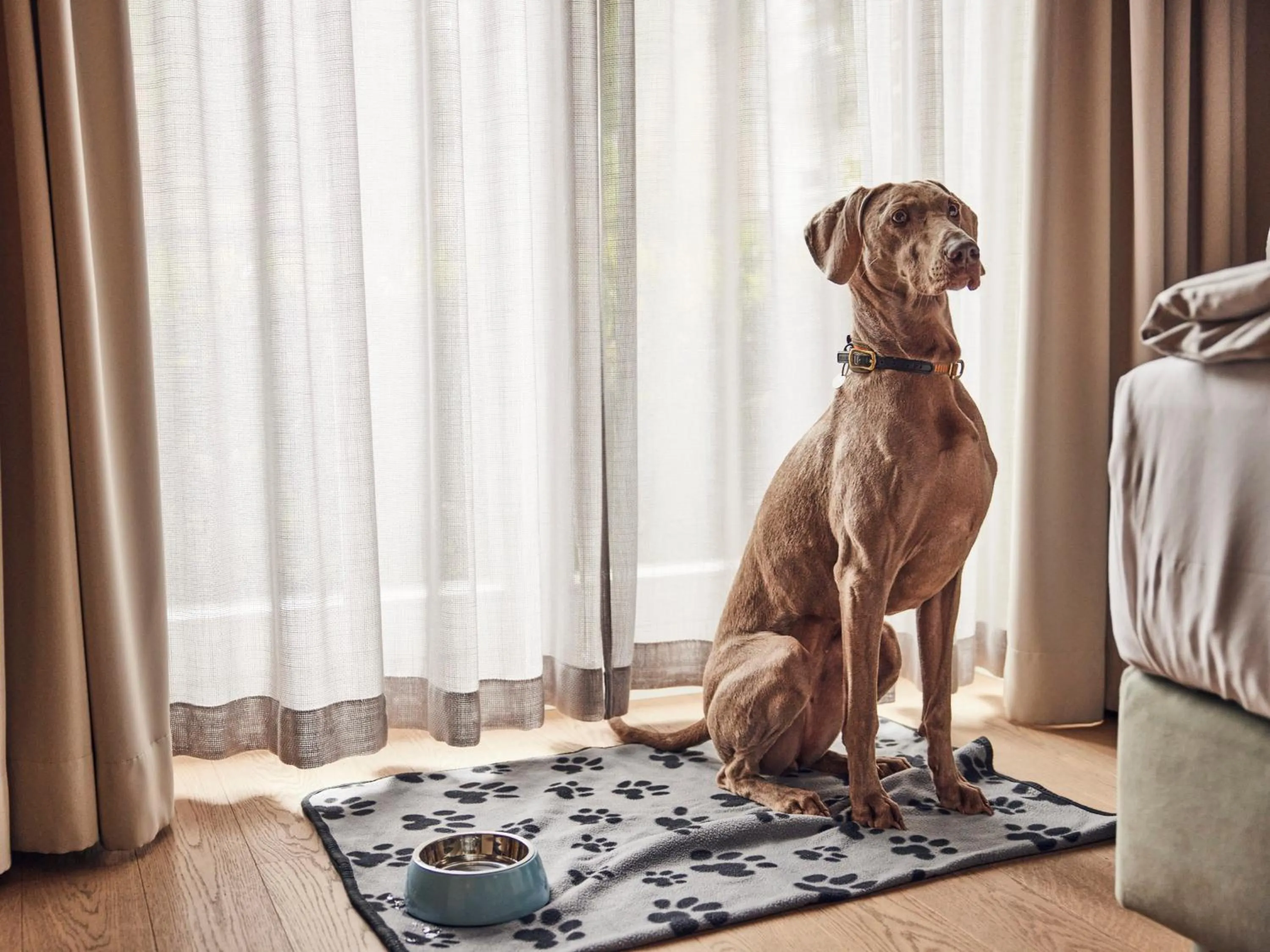 Animals in Steigenberger Hotel Treudelberg Hamburg