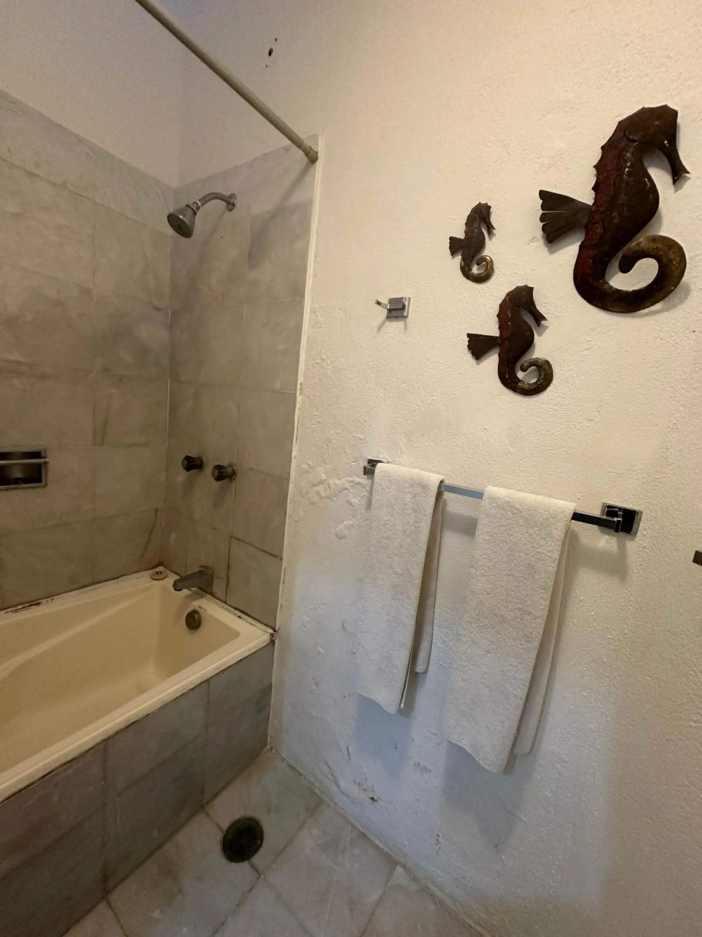 HAB PTa B ÁREA DE VILLAS DENTRO DEL HOTEL Junto al Krystal EN IXTAPA WIFI 2A 1M Con playa