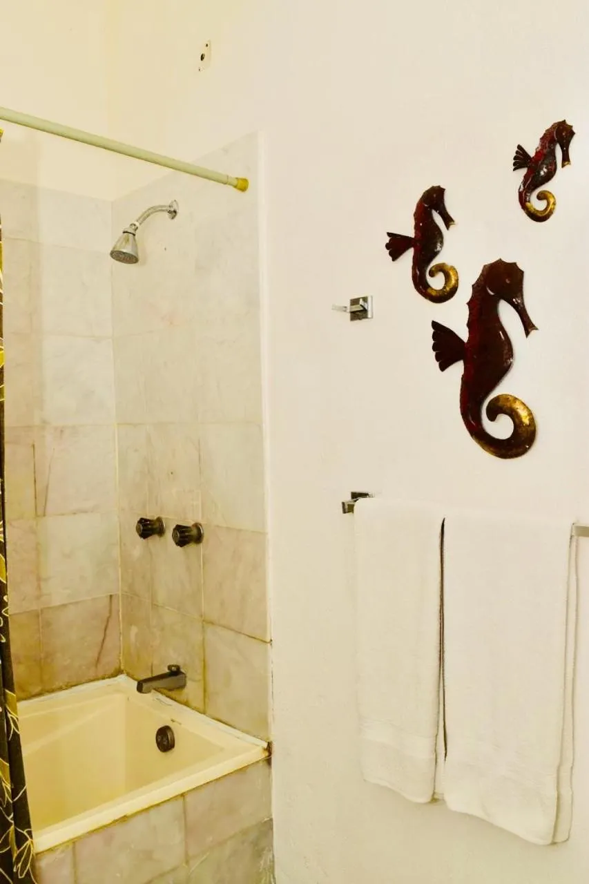 Bathroom in HAB PTa B ÁREA DE VILLAS DENTRO DEL HOTEL Junto al Krystal EN IXTAPA WIFI 2A 1M Con playa