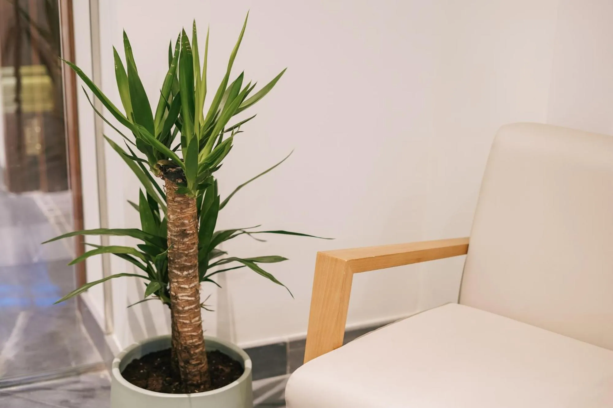 Lobby or reception in Debambú Atarazanas