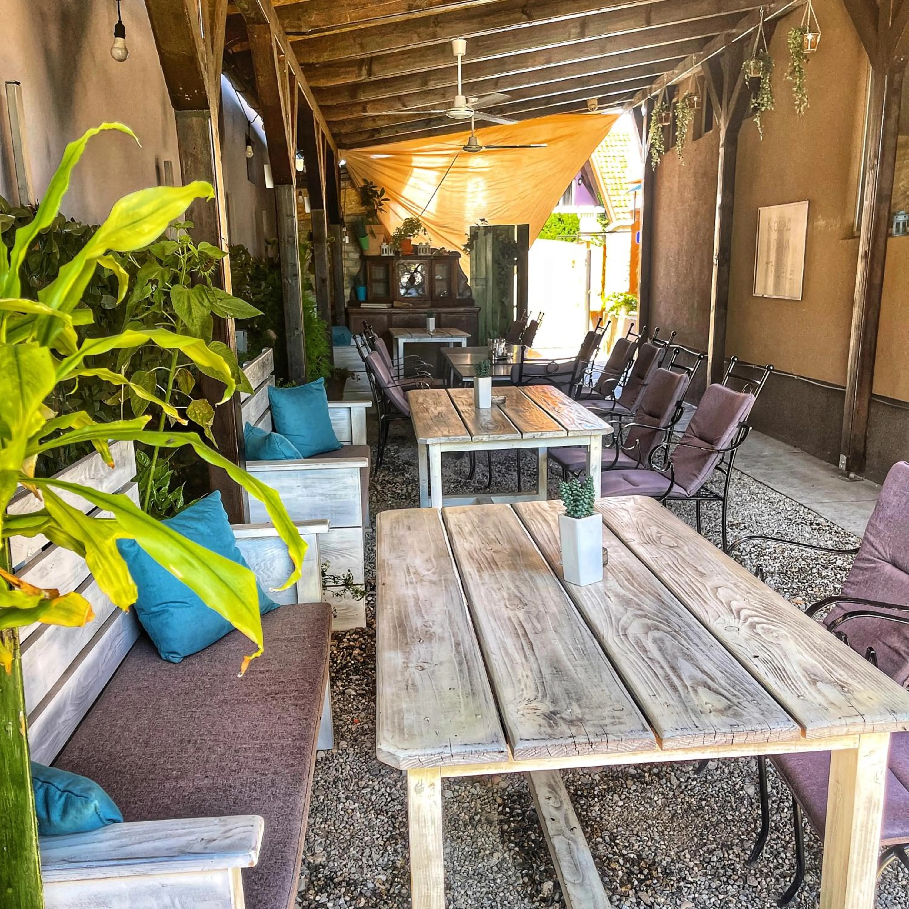 Garden in TEPIĆ Garni Hotel