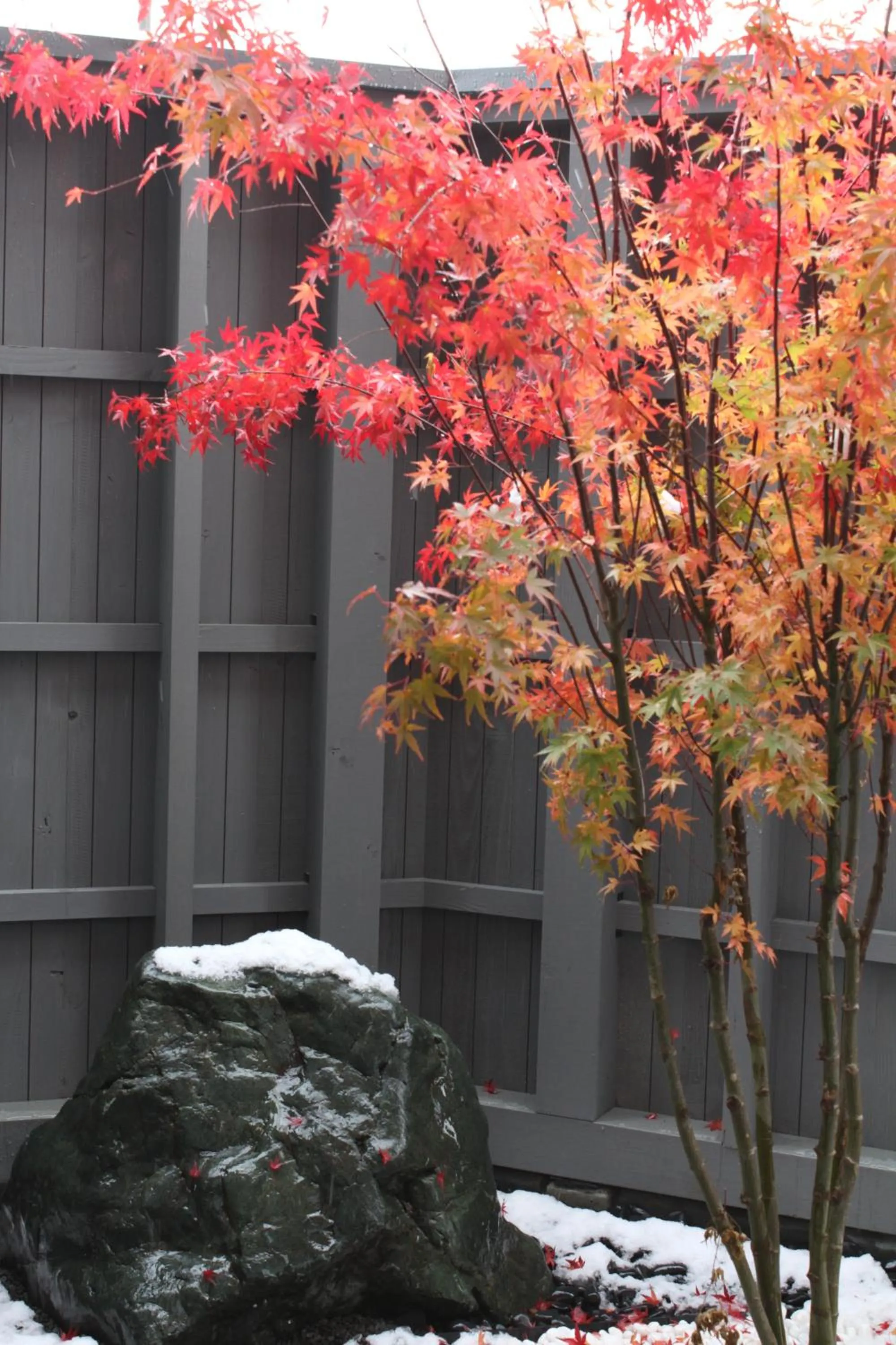 Garden in Condominium ISHITEI Furano
